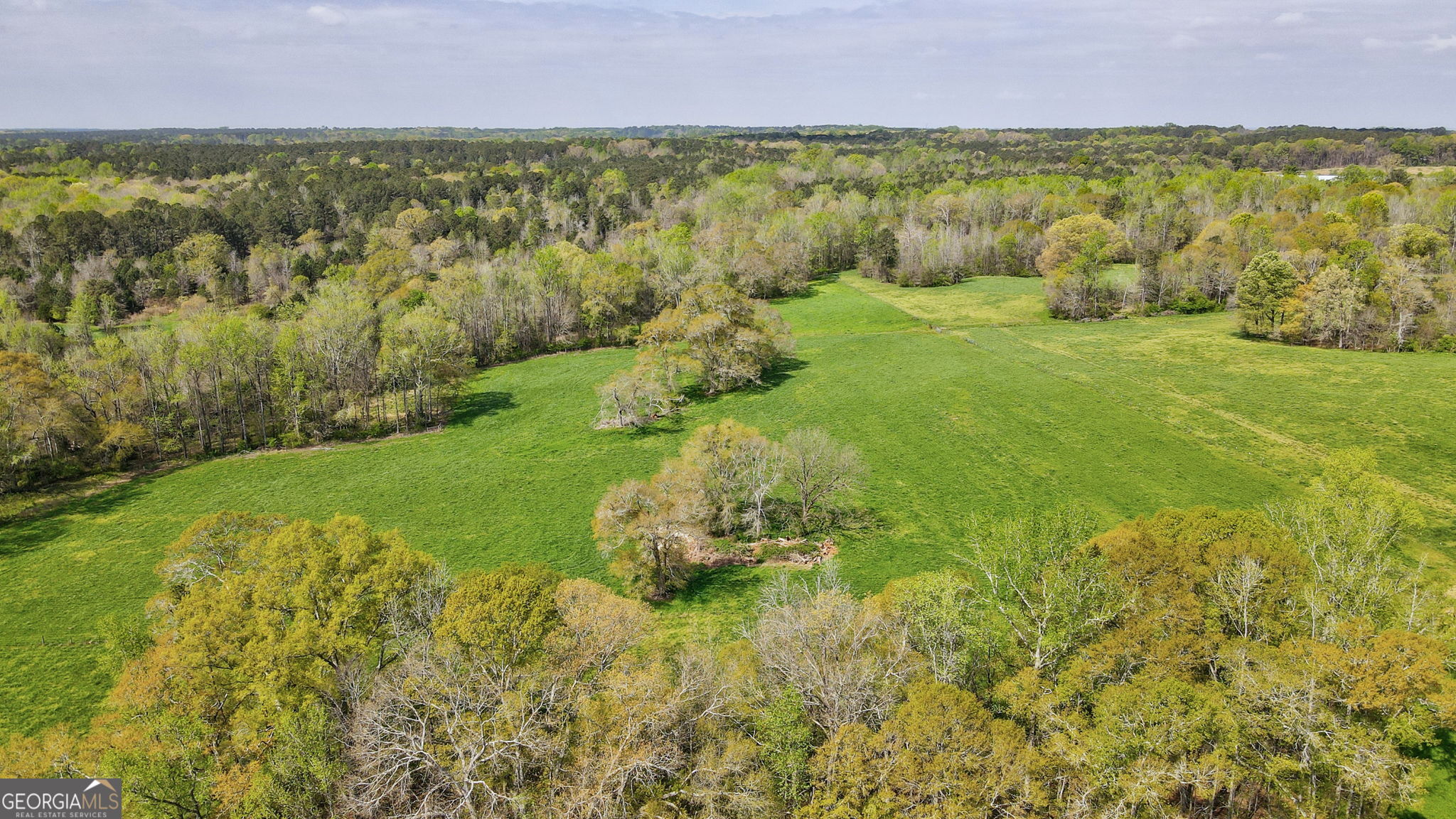 1291 Apalachee River Road Property Photo 19