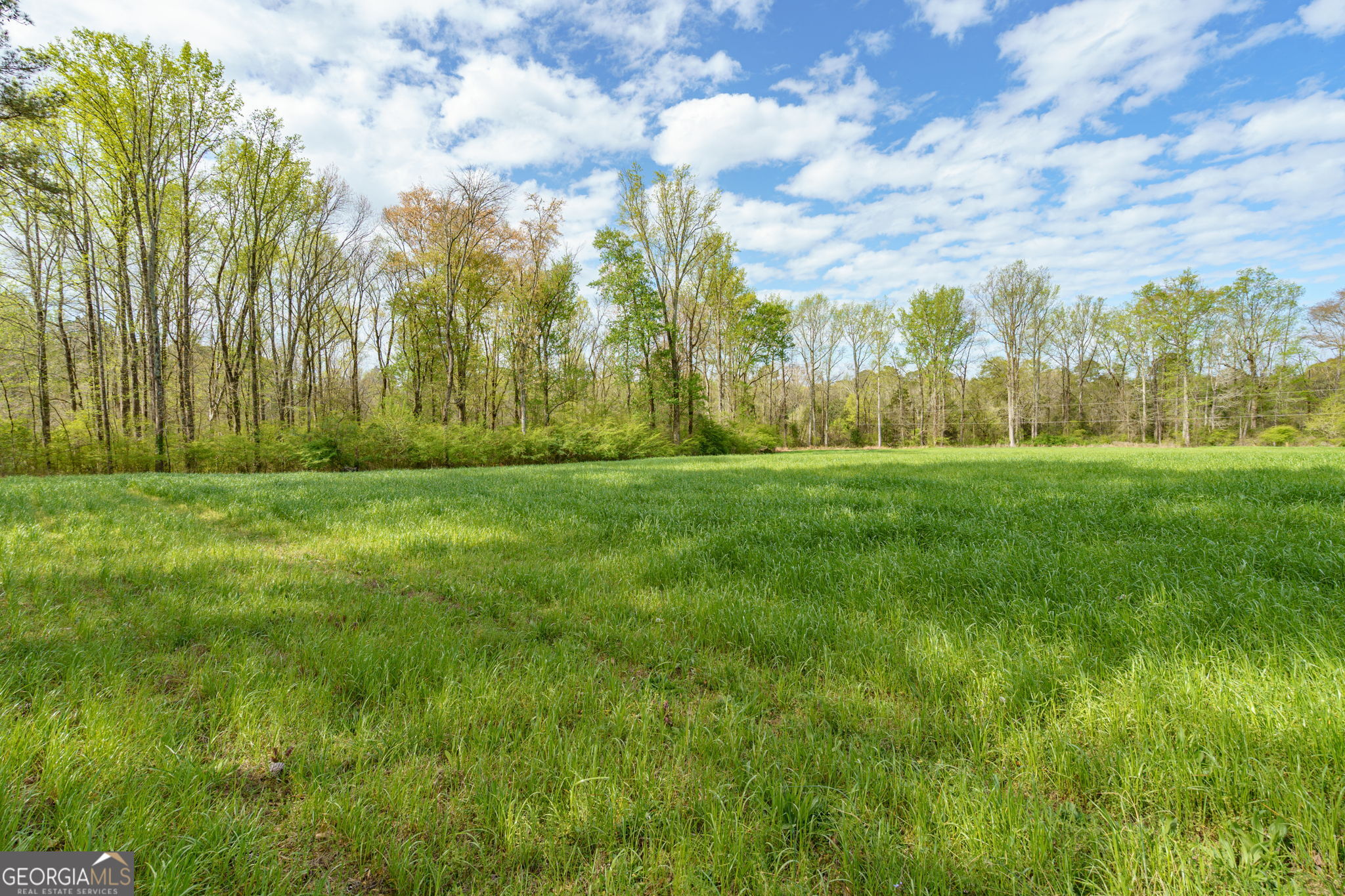 1291 Apalachee River Road Property Photo 43