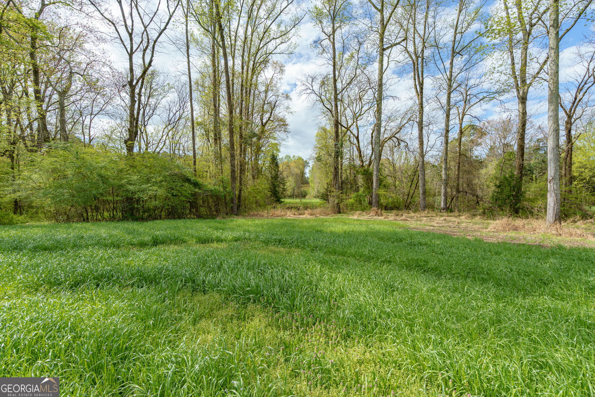 1291 Apalachee River Road Property Photo 46