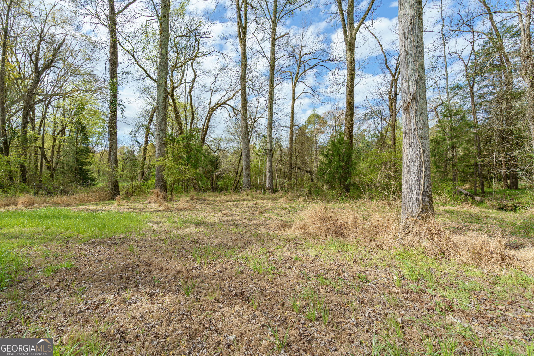 1291 Apalachee River Road Property Photo 47