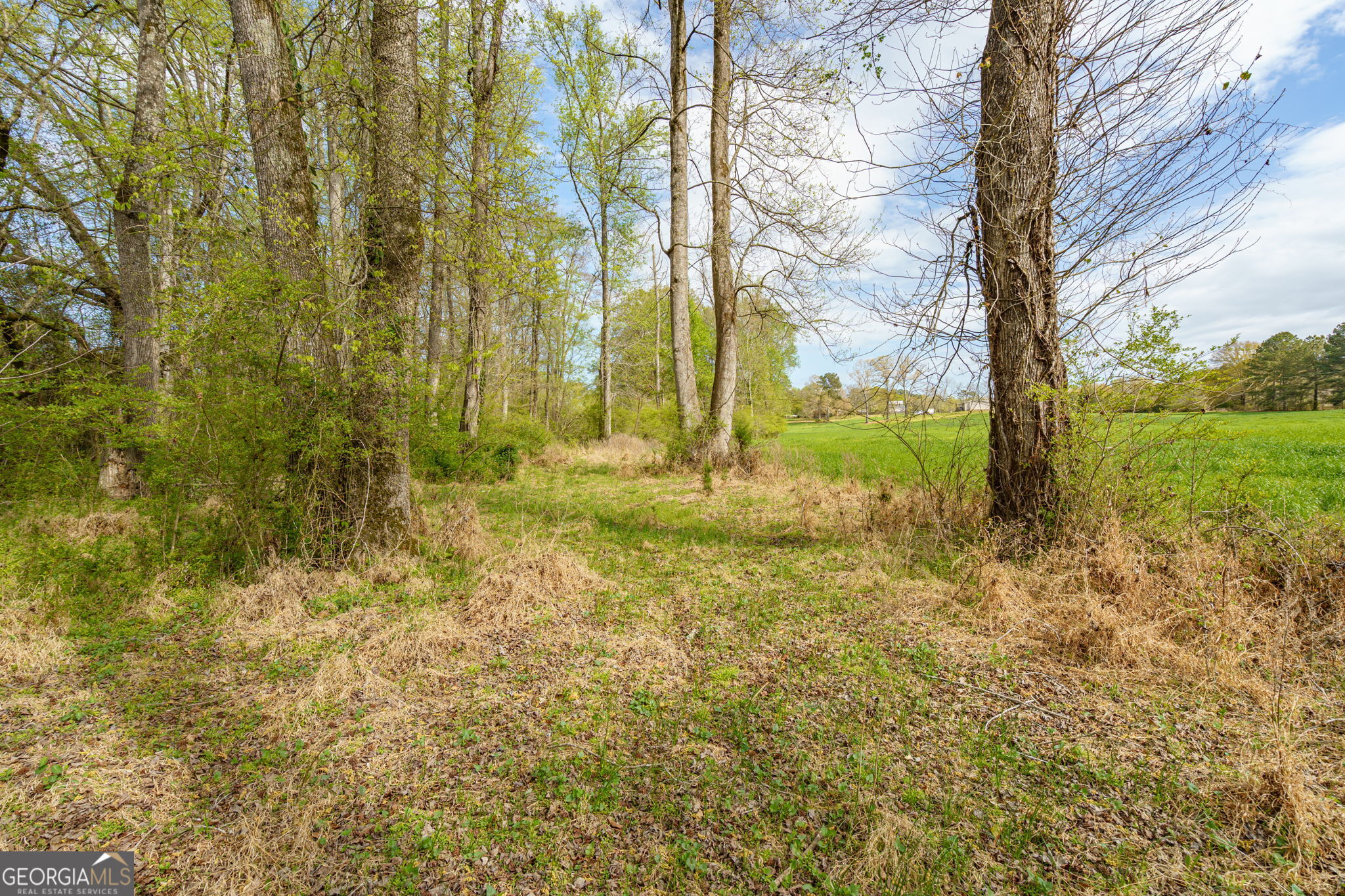 1291 Apalachee River Road Property Photo 51