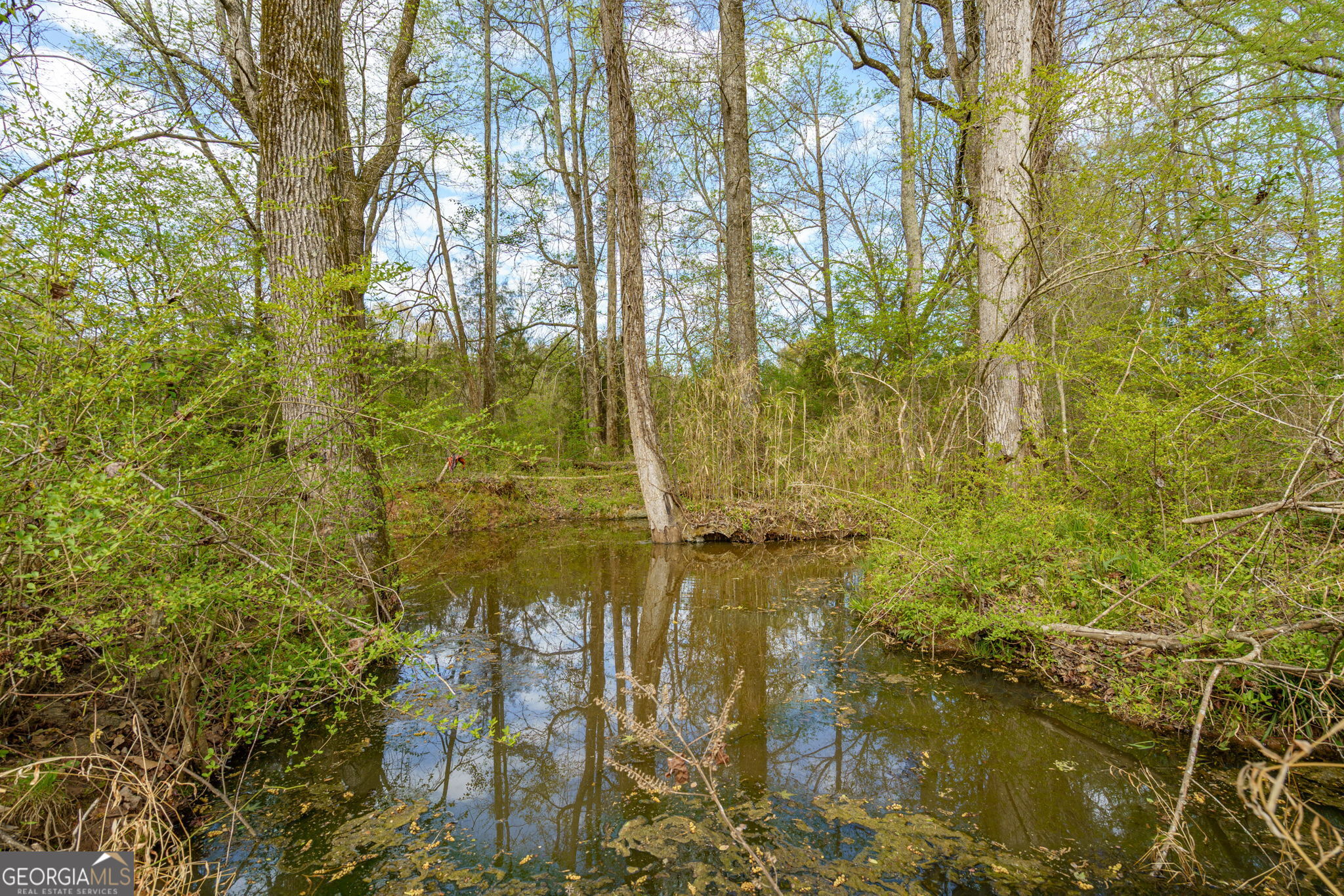 1291 Apalachee River Road Property Photo 52