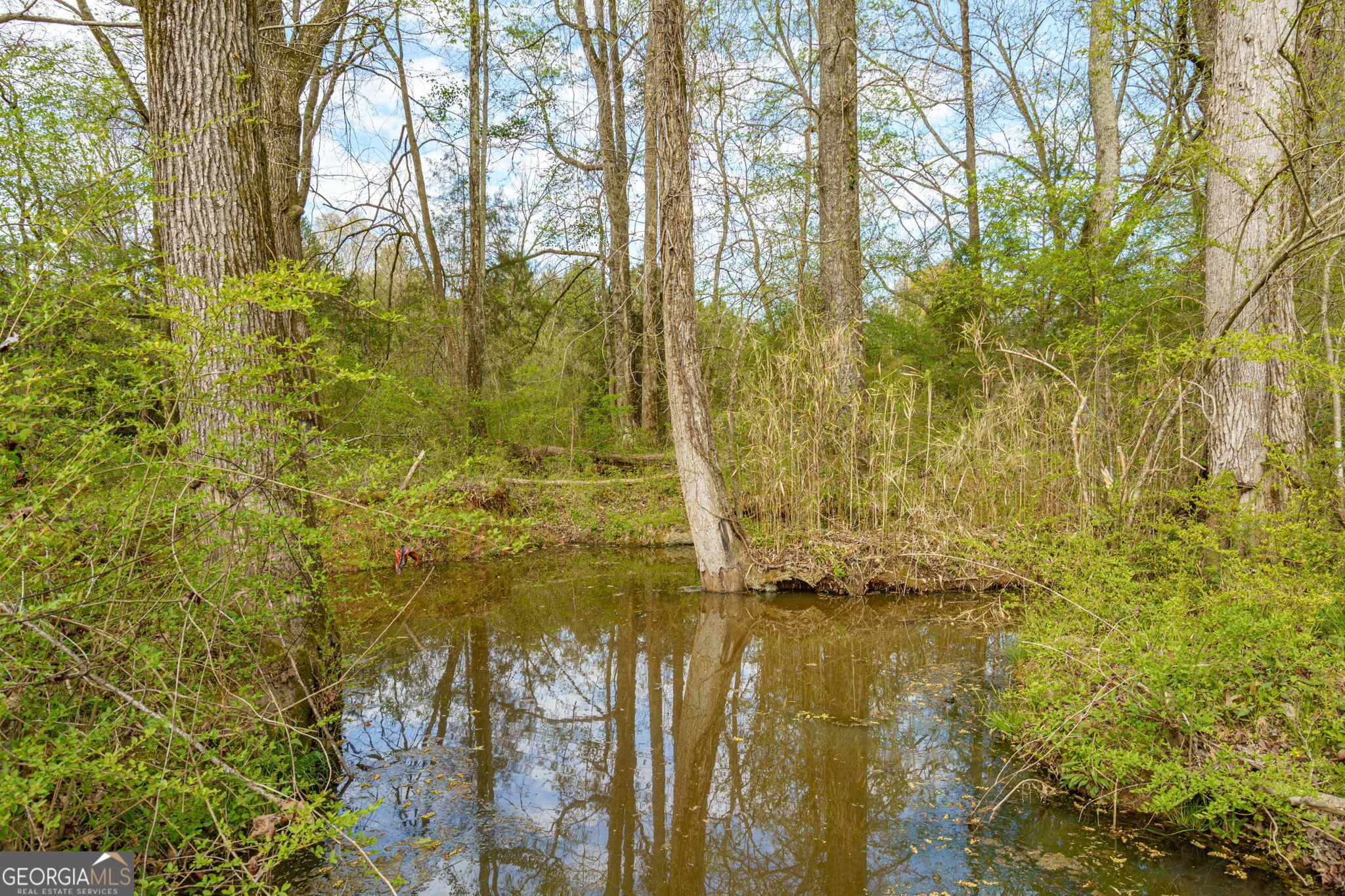 1291 Apalachee River Road Property Photo 53