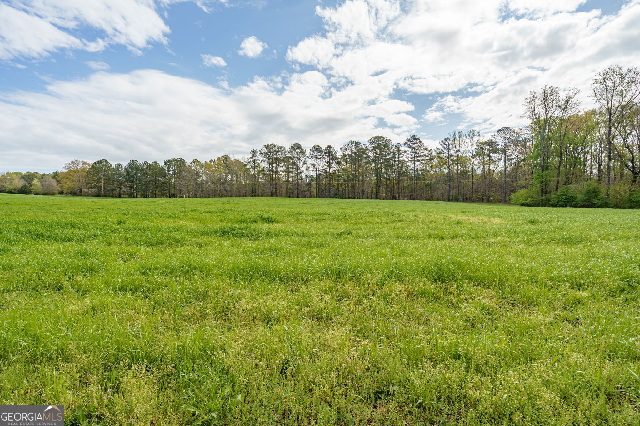 1291 Apalachee River Road Property Photo 55