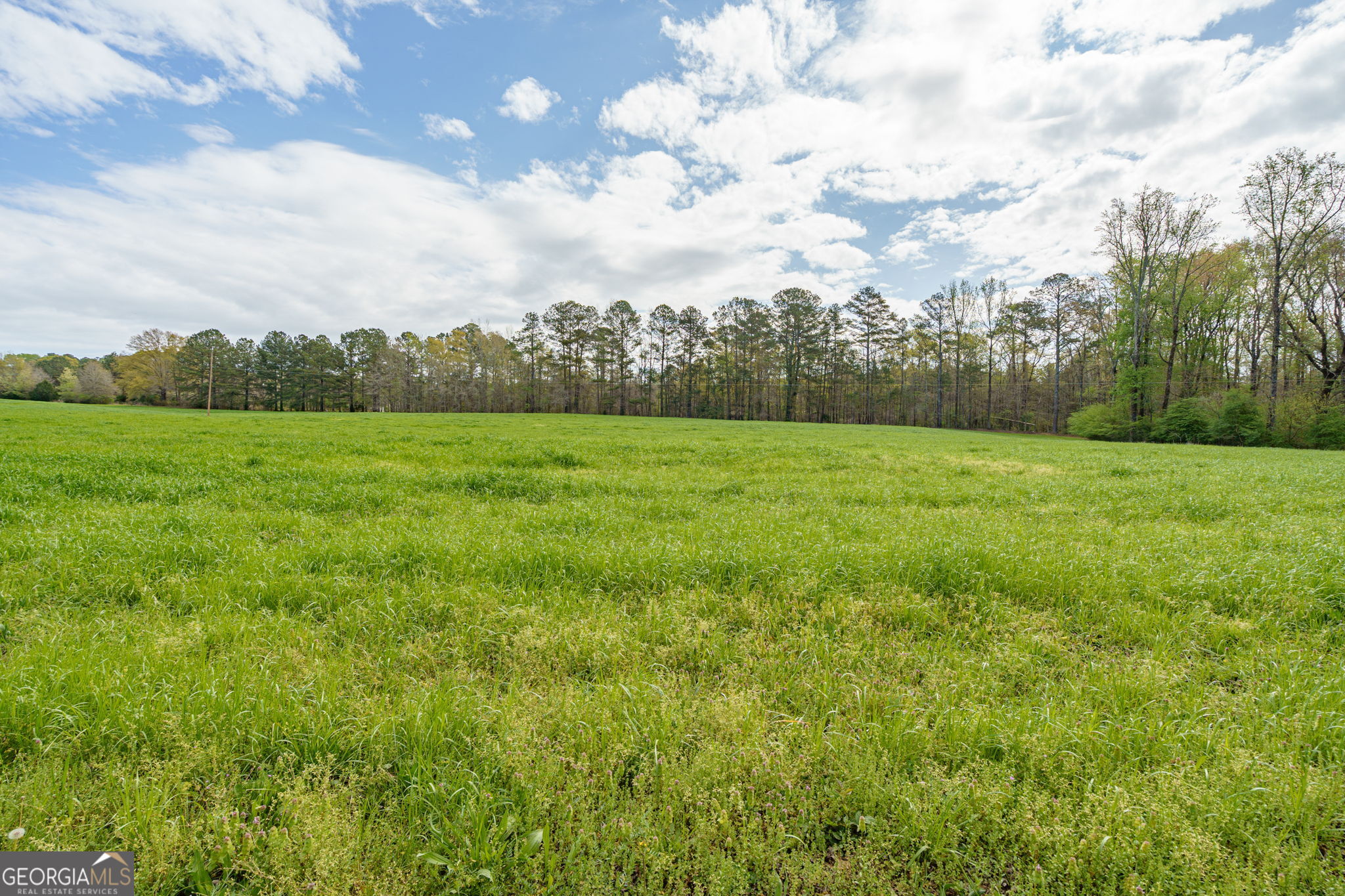 1291 Apalachee River Road Property Photo 56