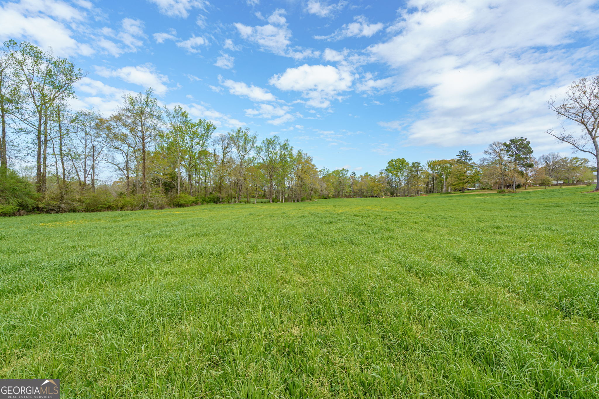 1291 Apalachee River Road Property Photo 62