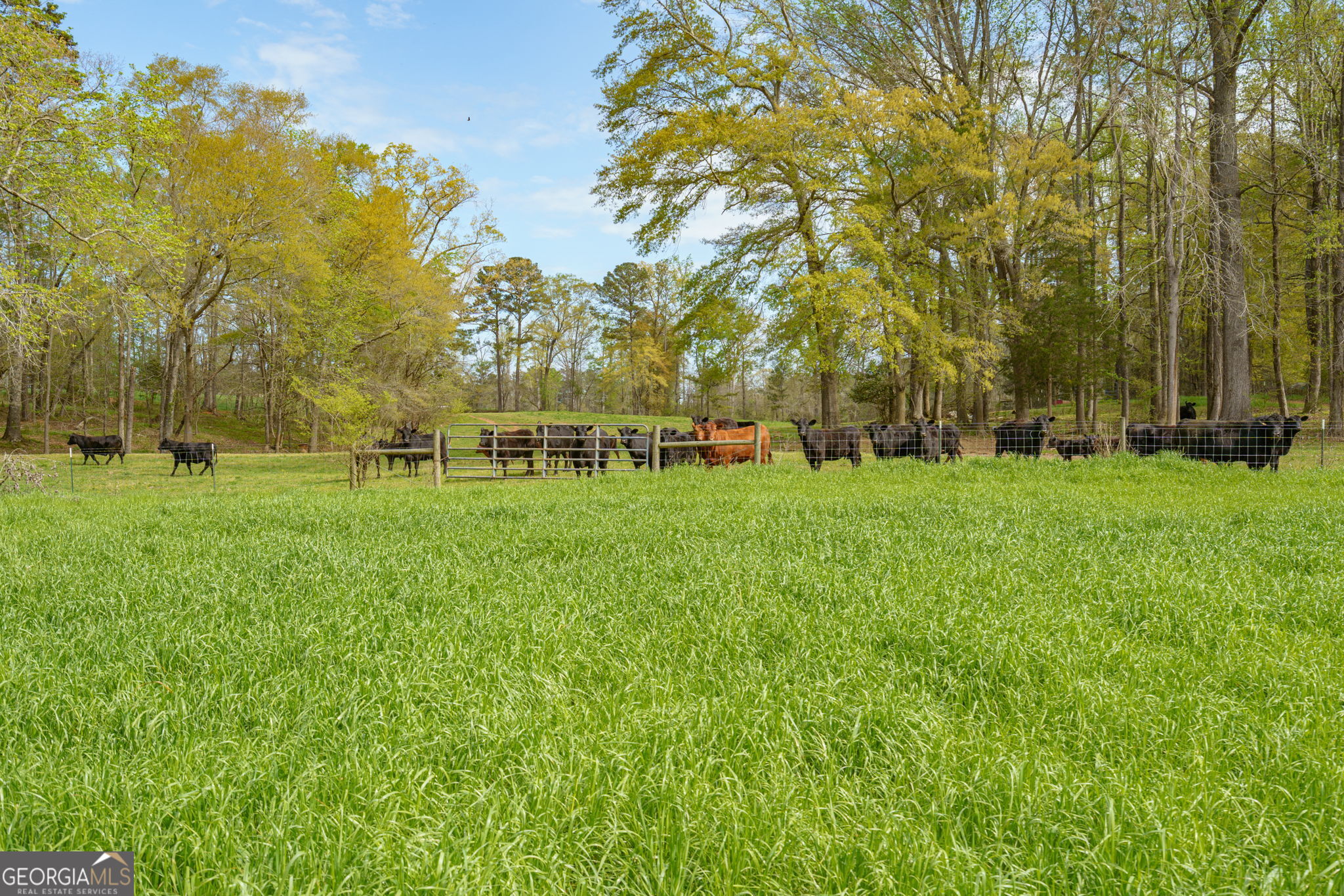 1291 Apalachee River Road Property Photo 67