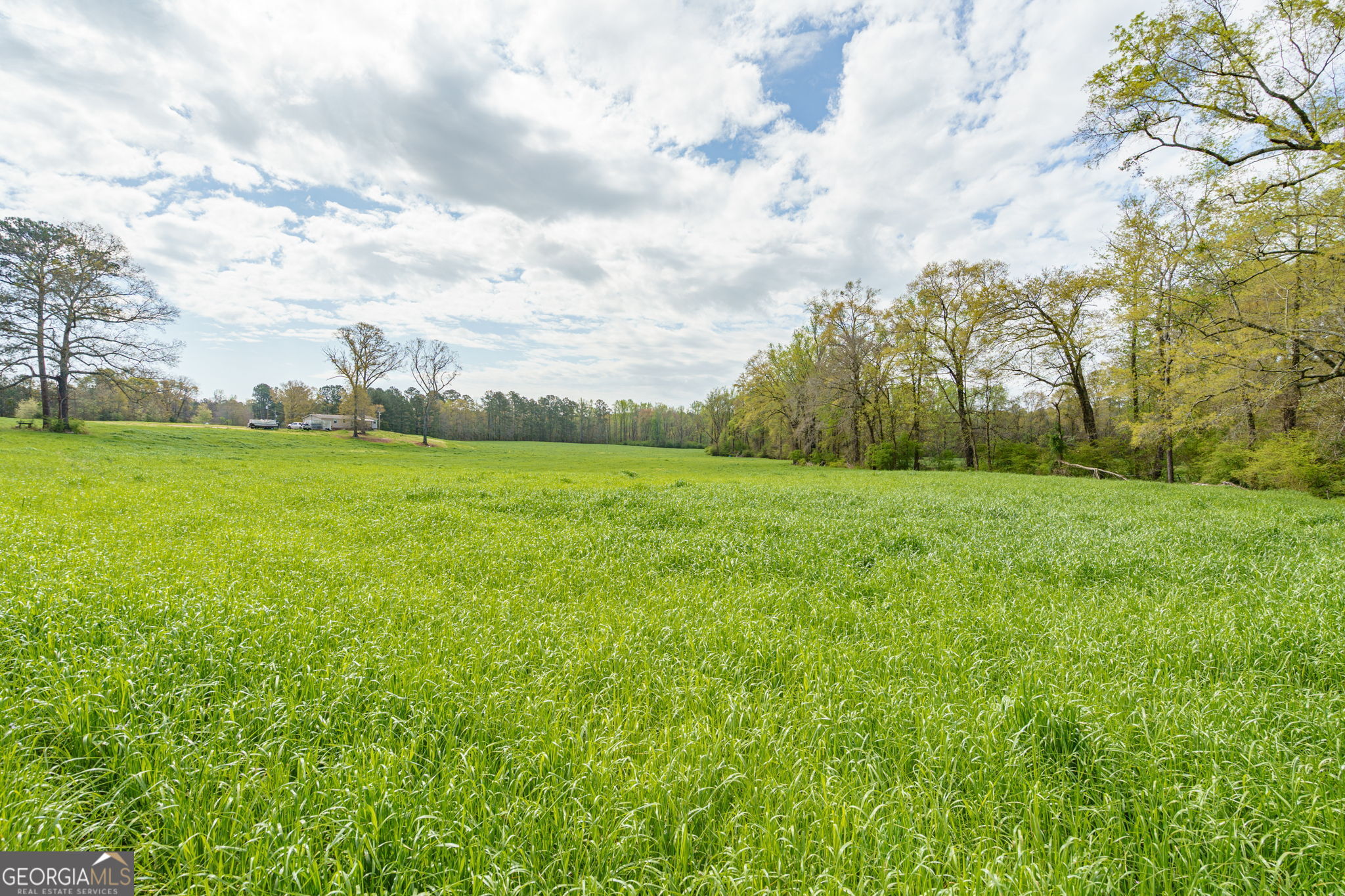 1291 Apalachee River Road Property Photo 68