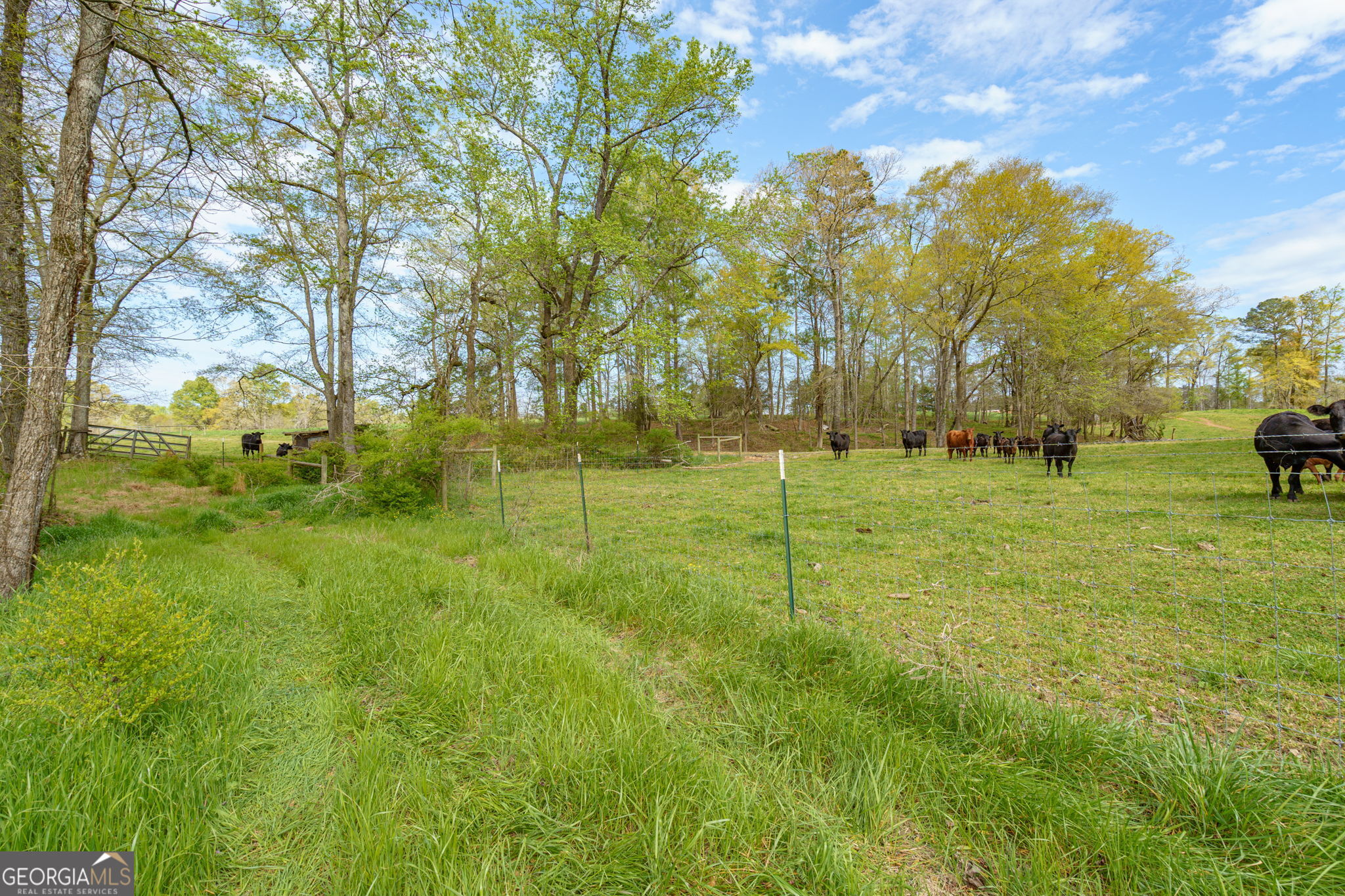 1291 Apalachee River Road Property Photo 69