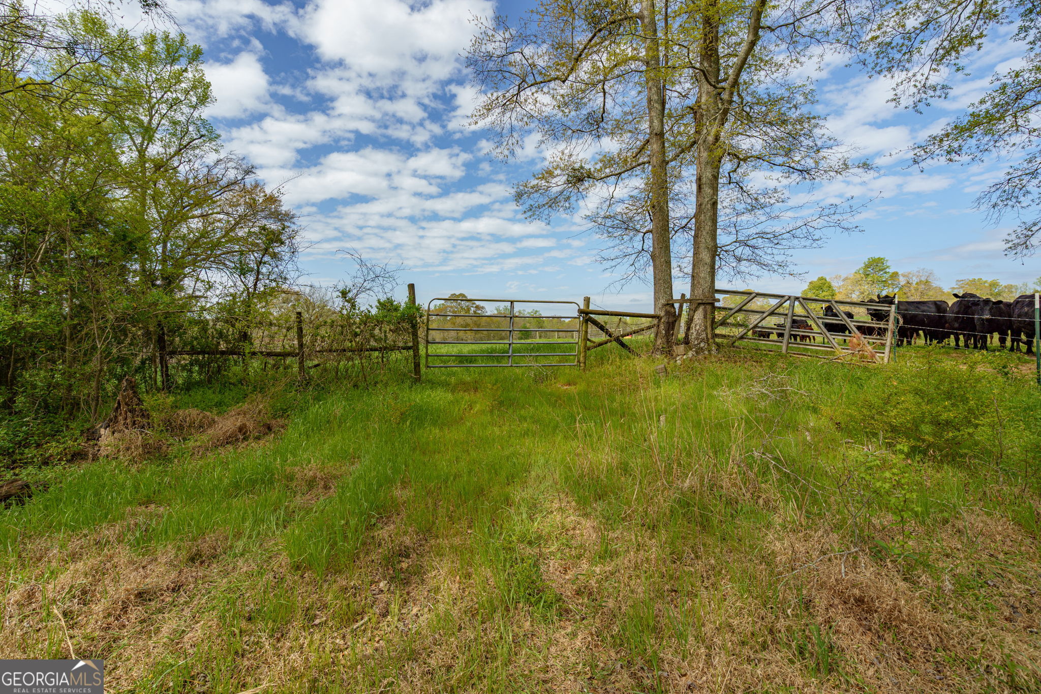 1291 Apalachee River Road Property Photo 70