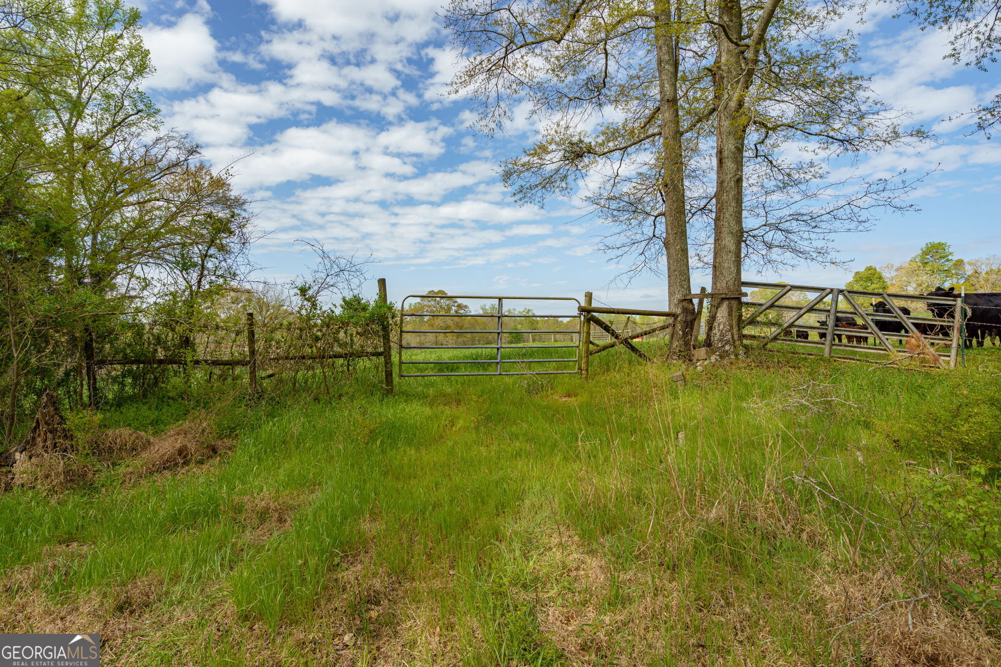 1291 Apalachee River Road Property Photo 71