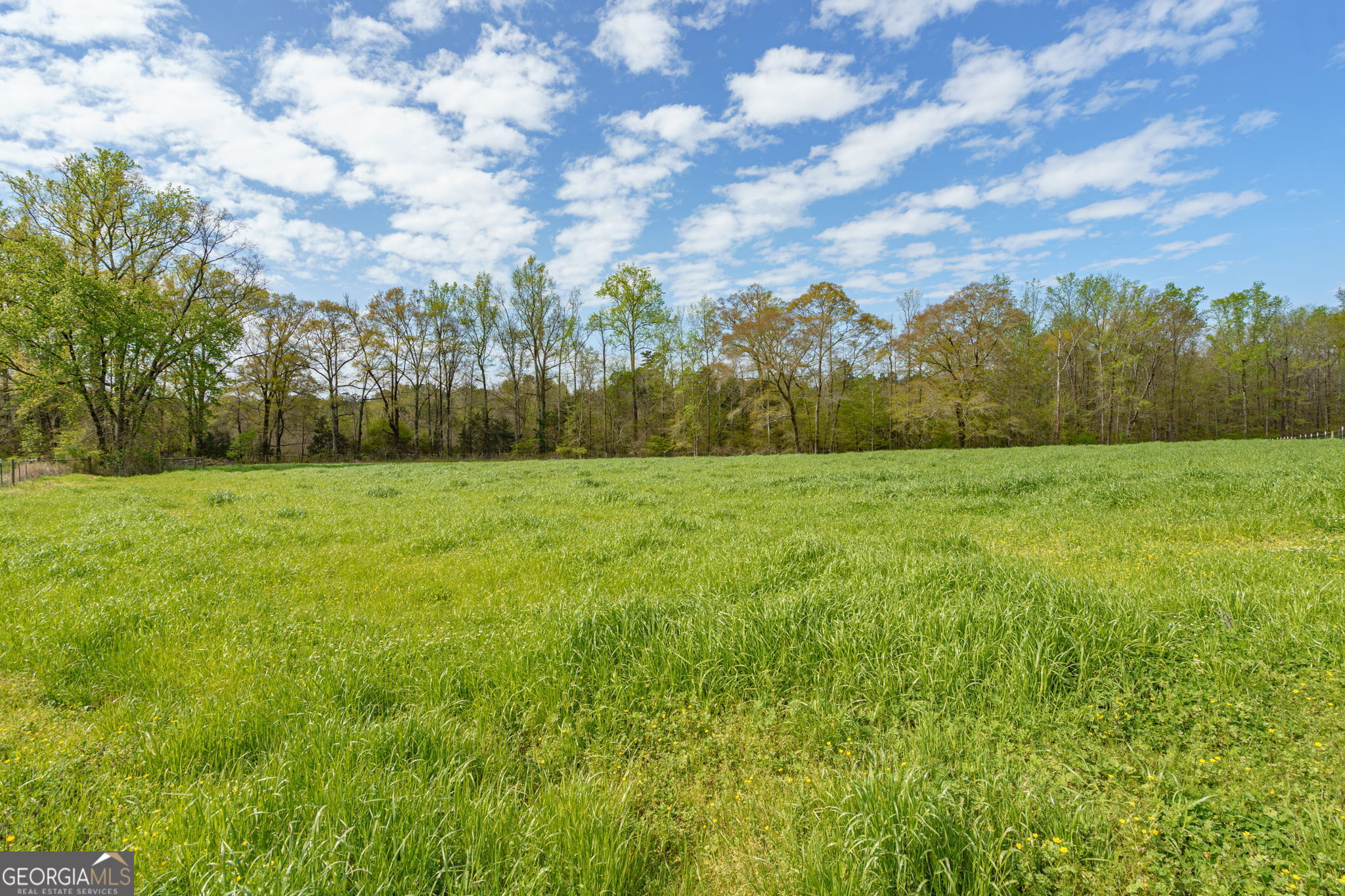 1291 Apalachee River Road Property Photo 79