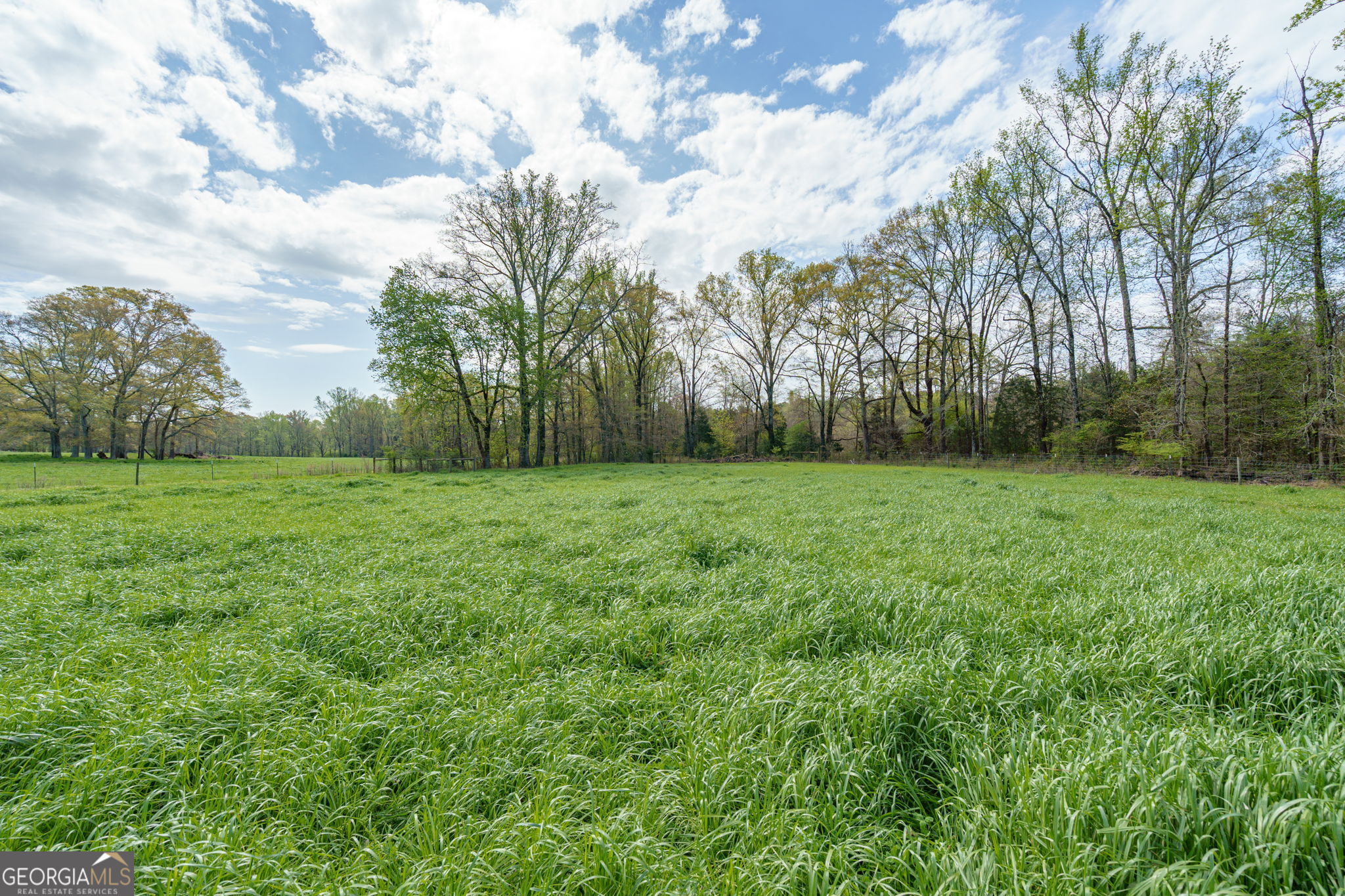 1291 Apalachee River Road Property Photo 80