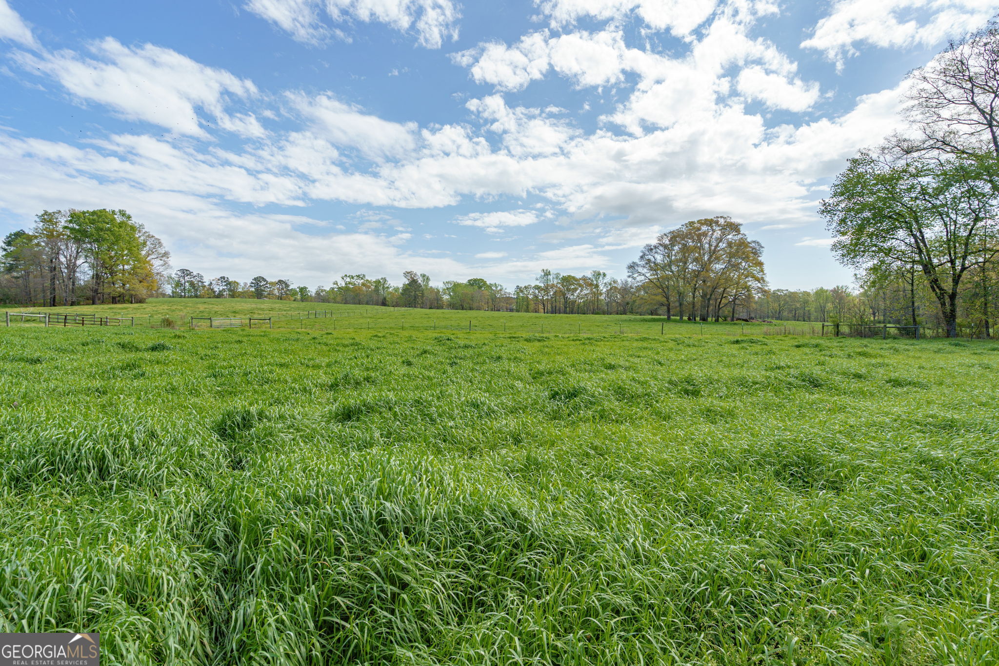 1291 Apalachee River Road Property Photo 81