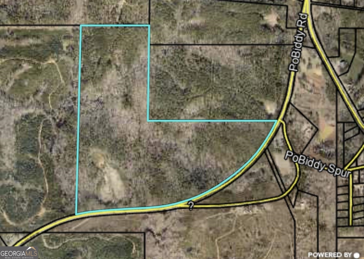 103 Acres Pobiddy Road Property Photo 2