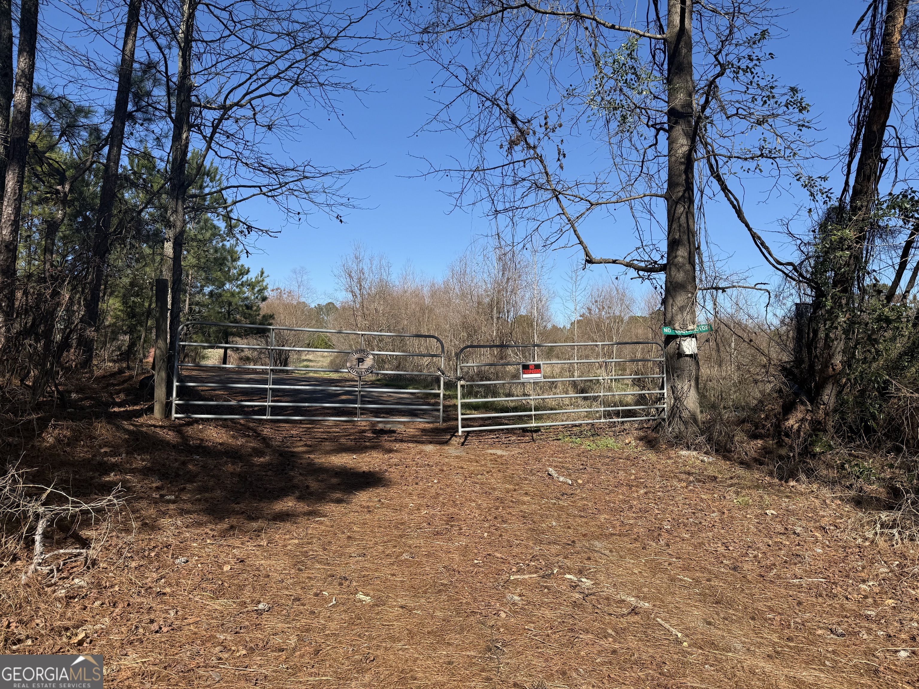 103 Acres Pobiddy Road Property Photo 3