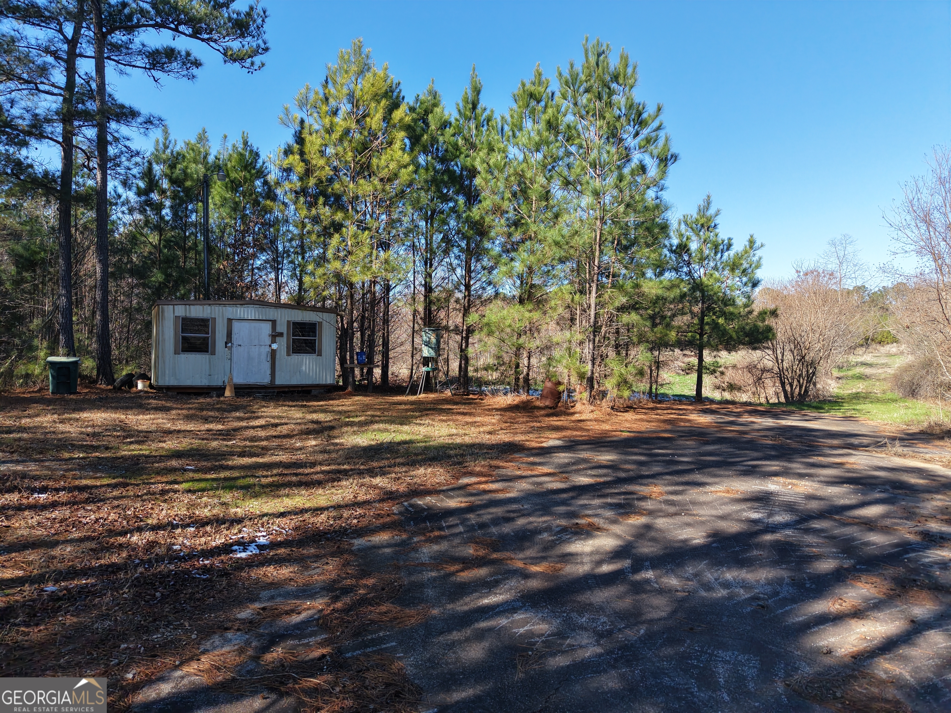 103 Acres Pobiddy Road Property Photo 4