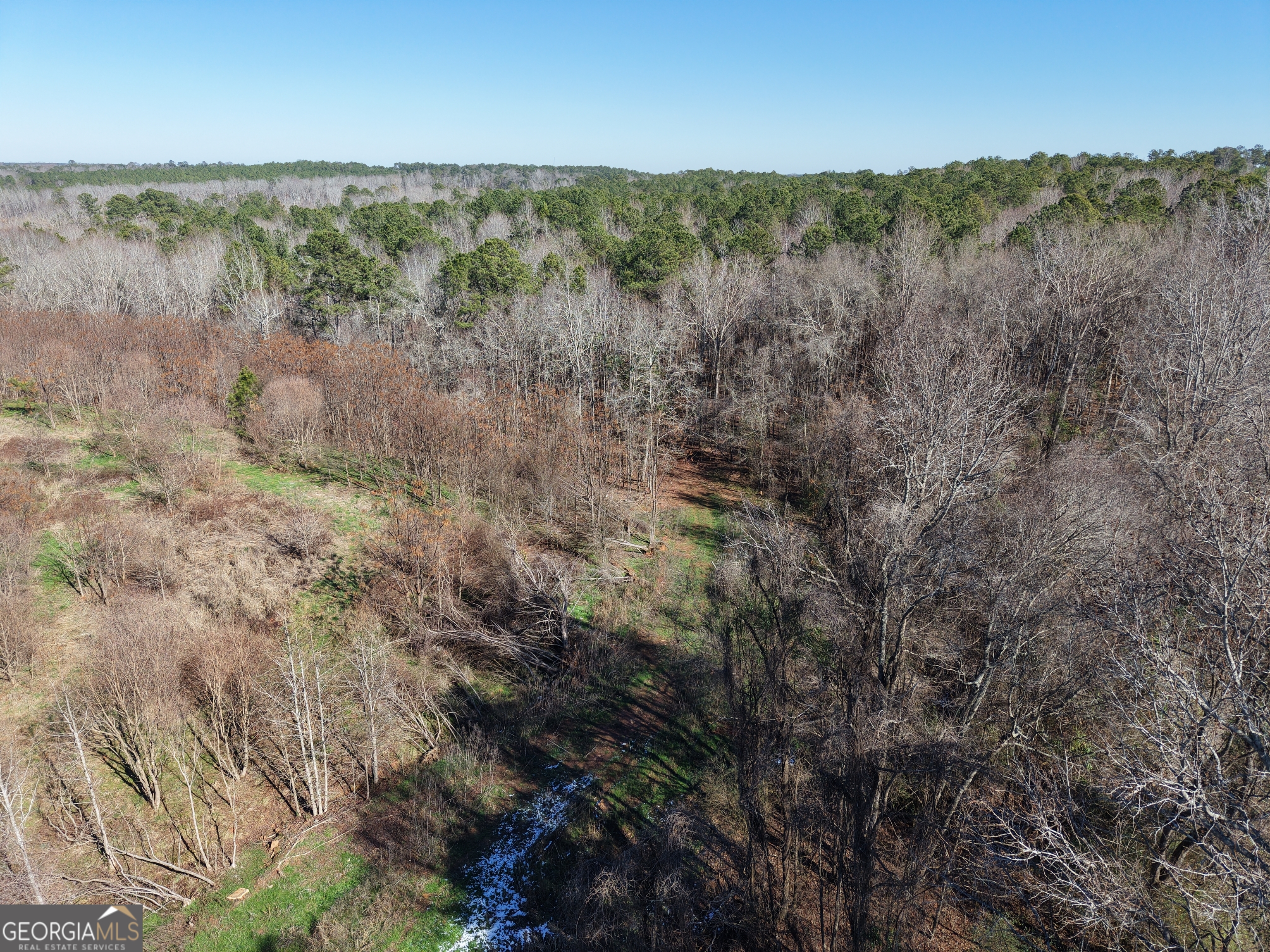 103 Acres Pobiddy Road Property Photo 6