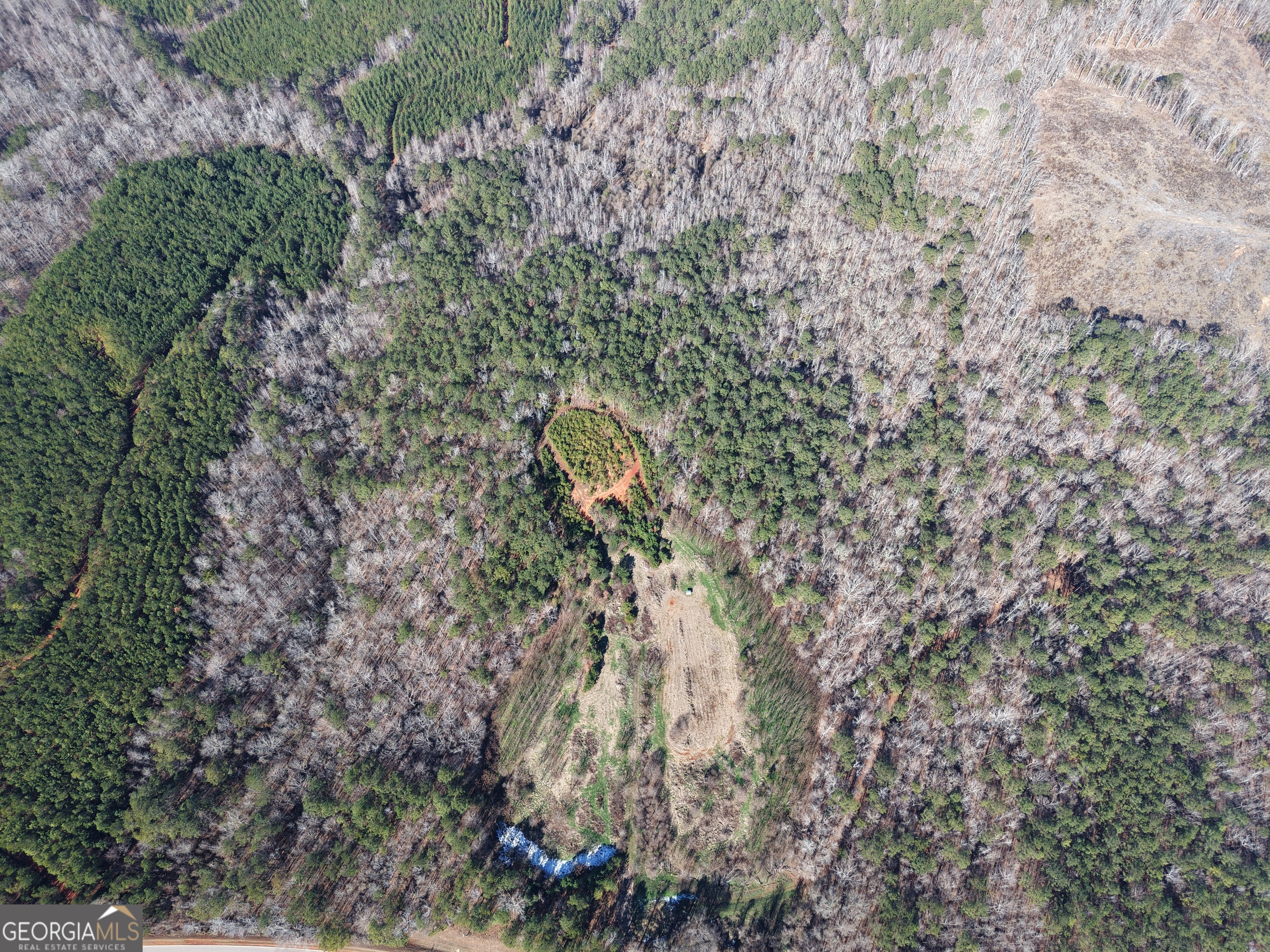103 Acres Pobiddy Road Property Photo 7