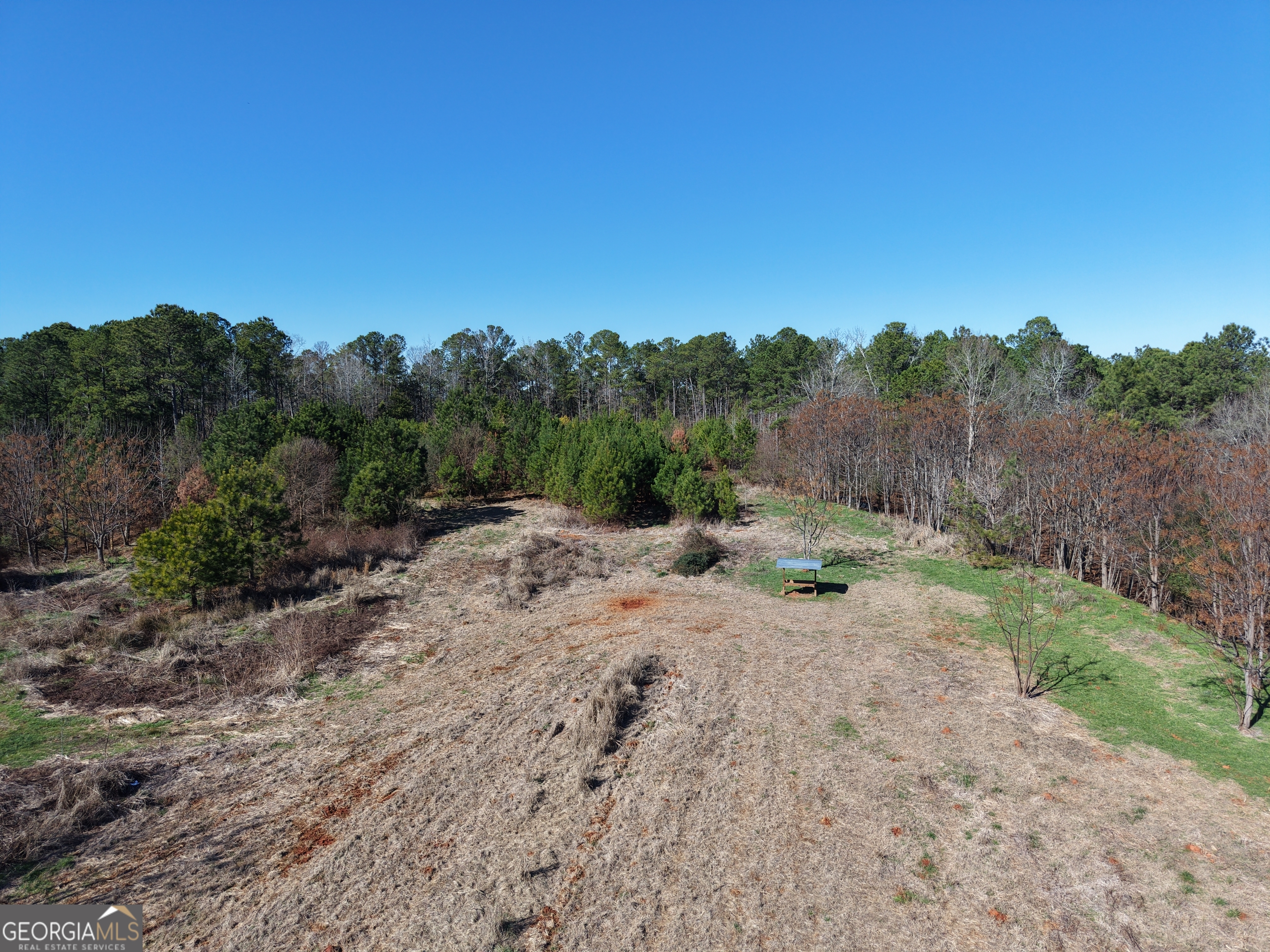 103 Acres Pobiddy Road Property Photo 8
