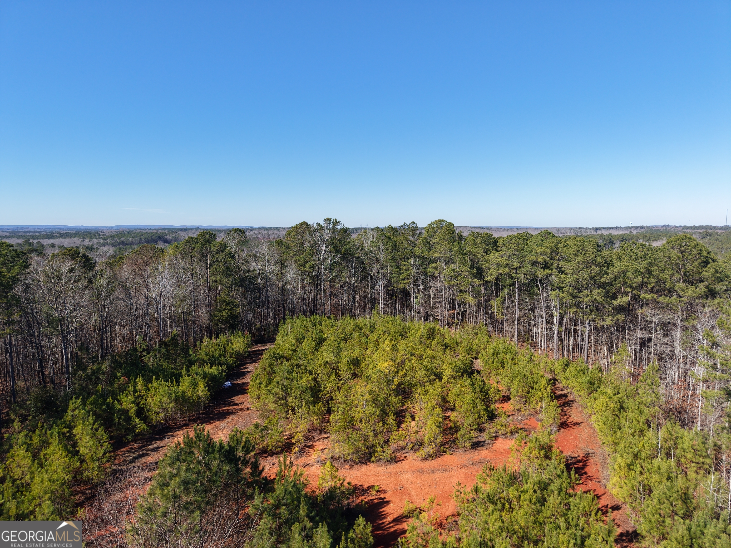 103 Acres Pobiddy Road Property Photo 9