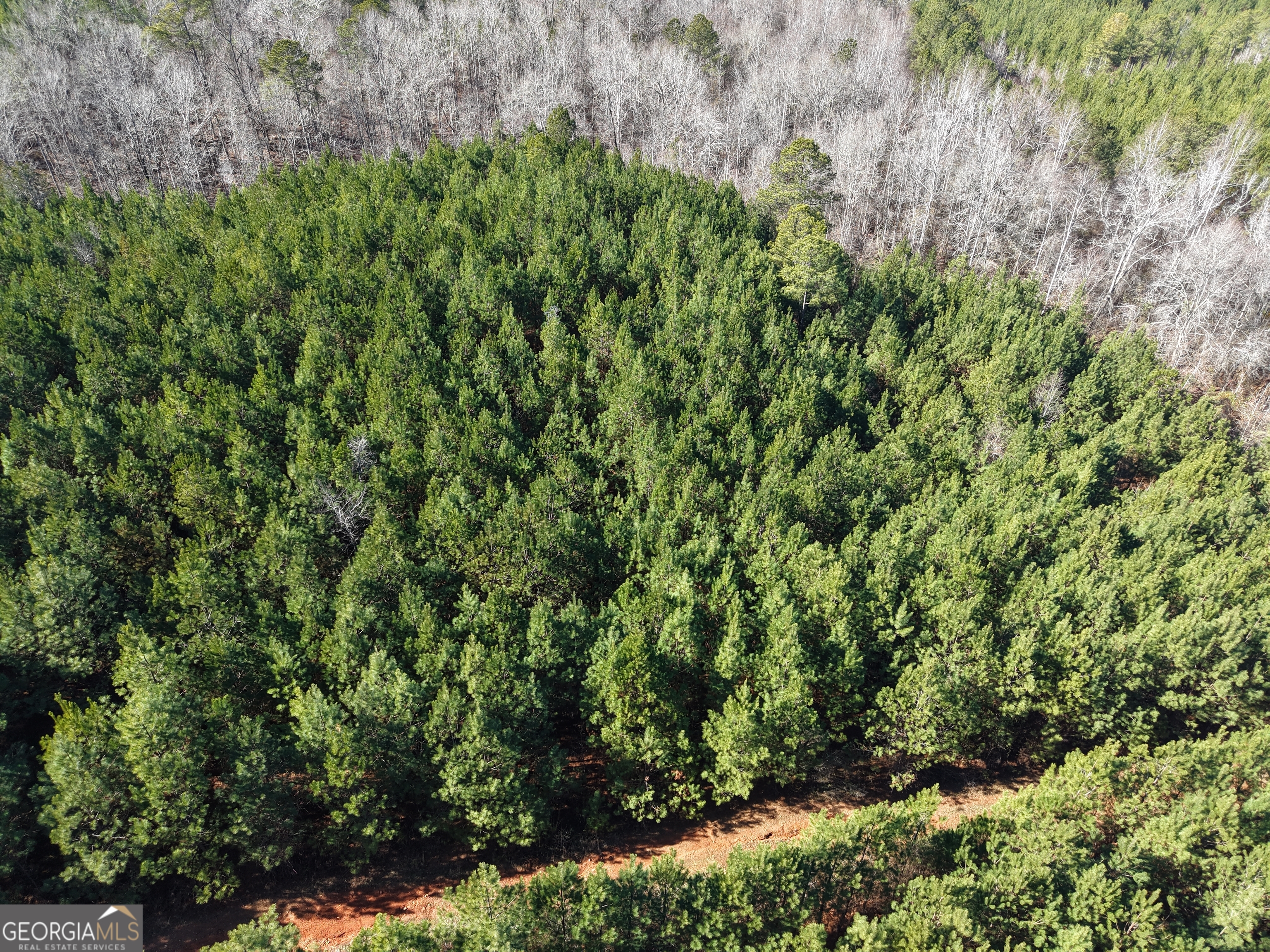 103 Acres Pobiddy Road Property Photo 10