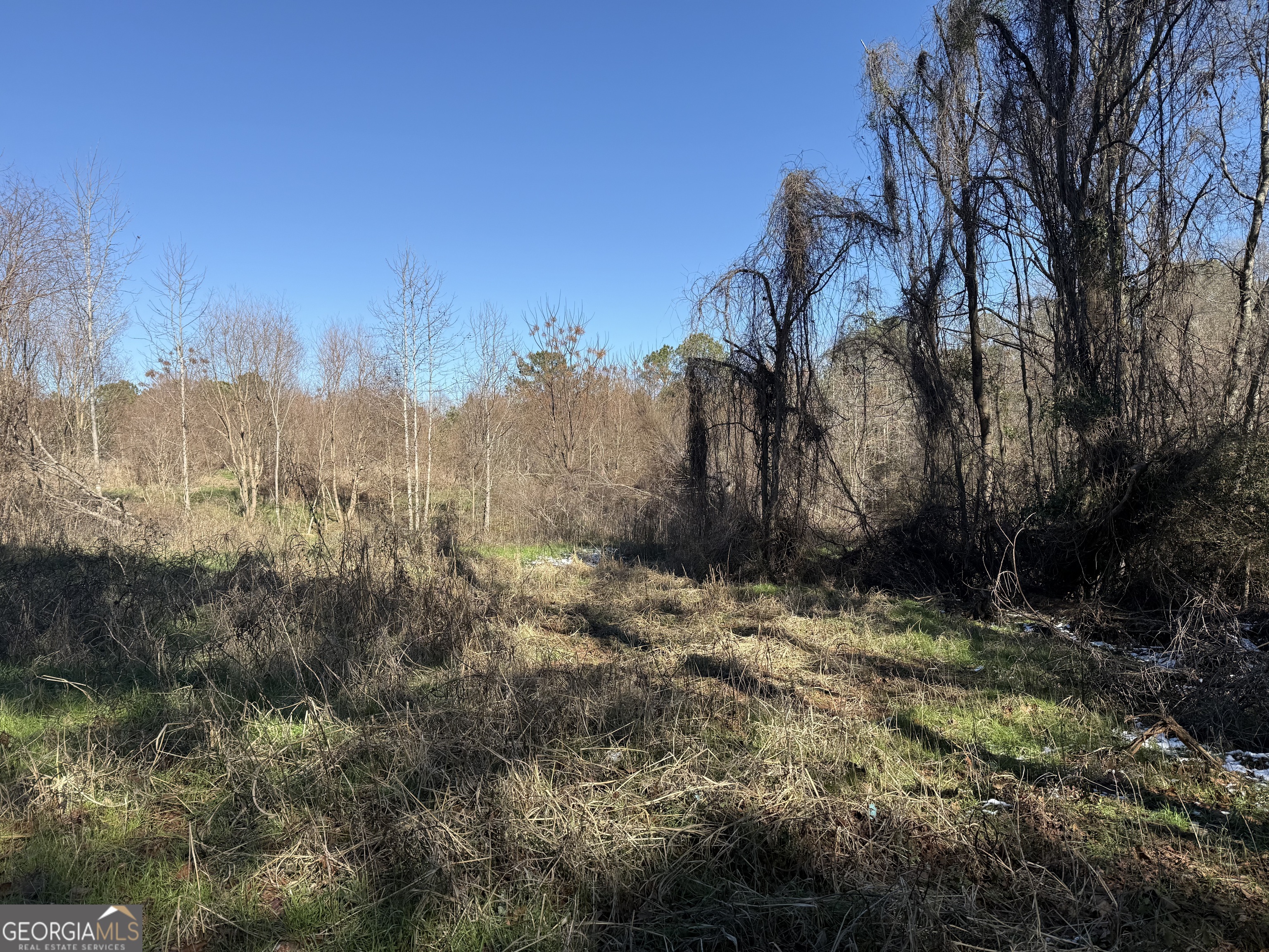 103 Acres Pobiddy Road Property Photo 11