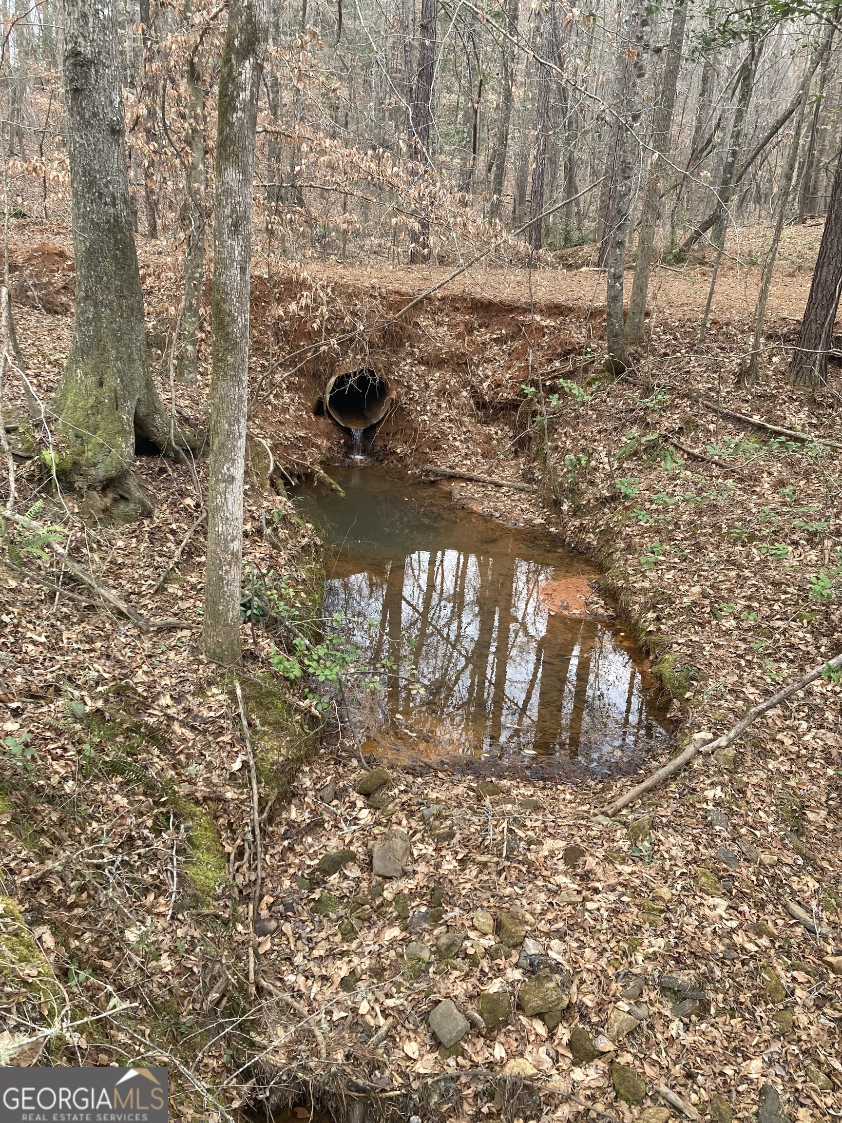 103 Acres Pobiddy Road Property Photo 13