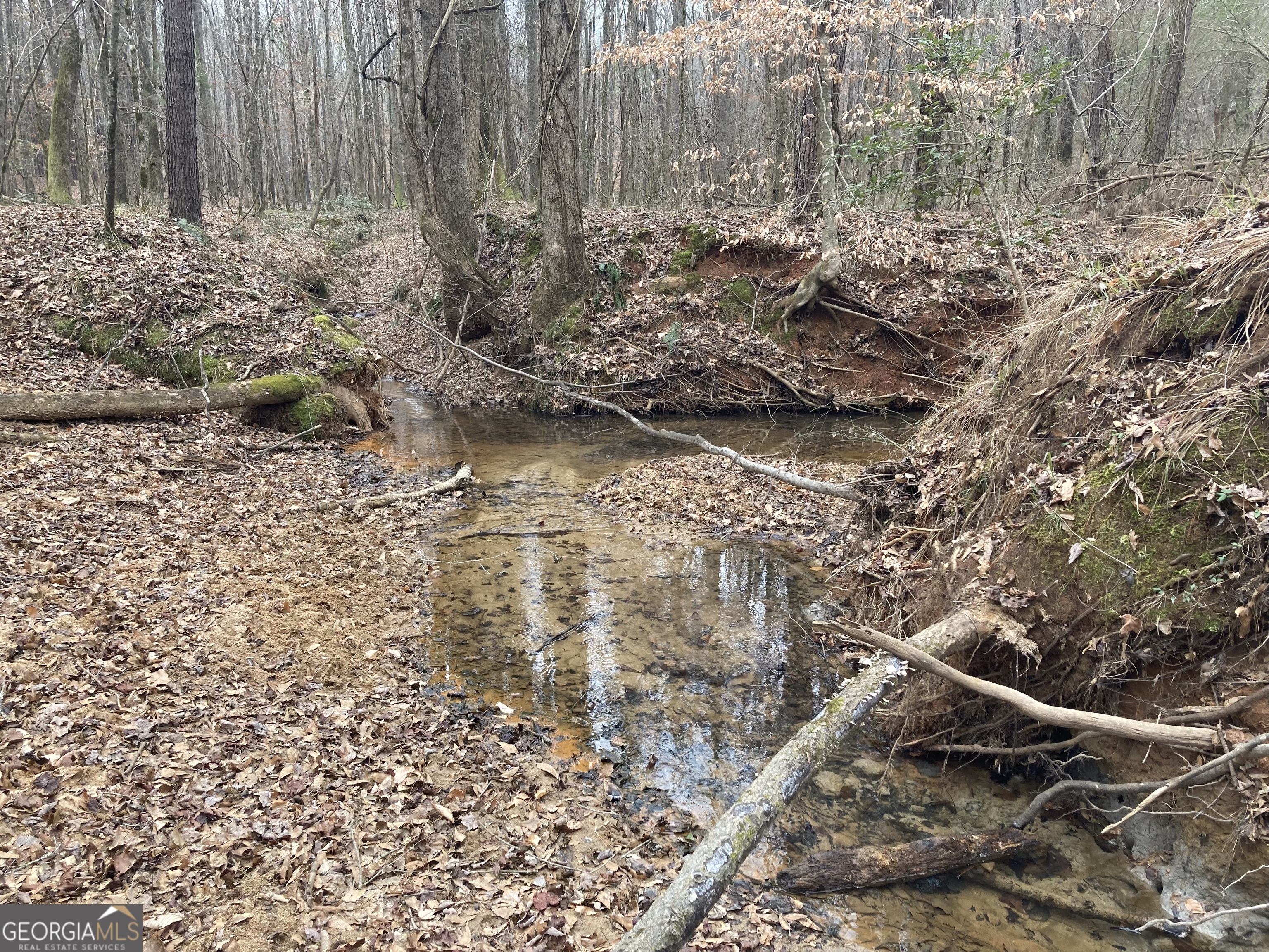 103 Acres Pobiddy Road Property Photo 16