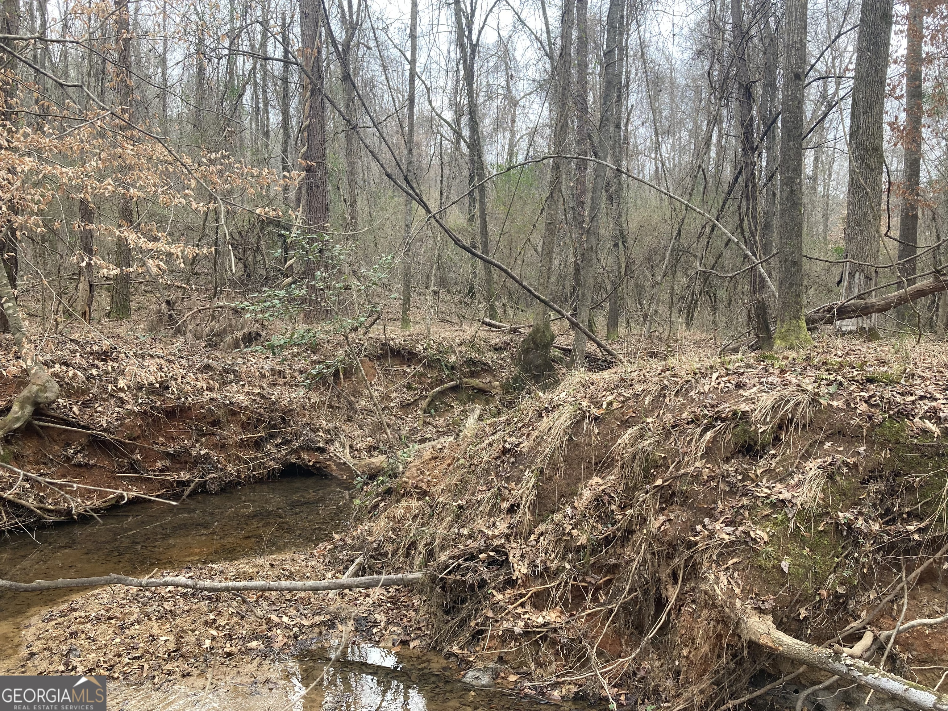 103 Acres Pobiddy Road Property Photo 17