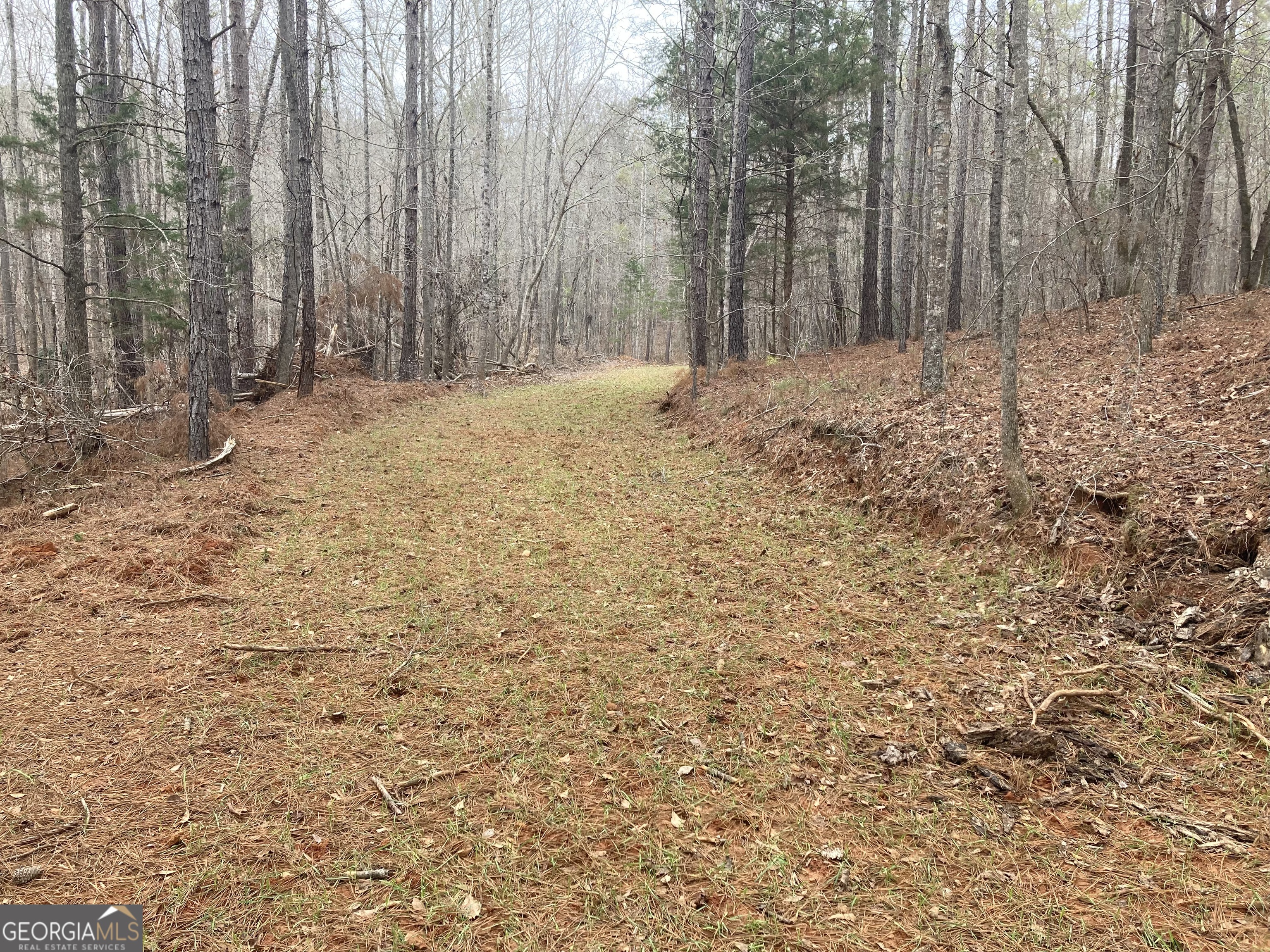 103 Acres Pobiddy Road Property Photo 18
