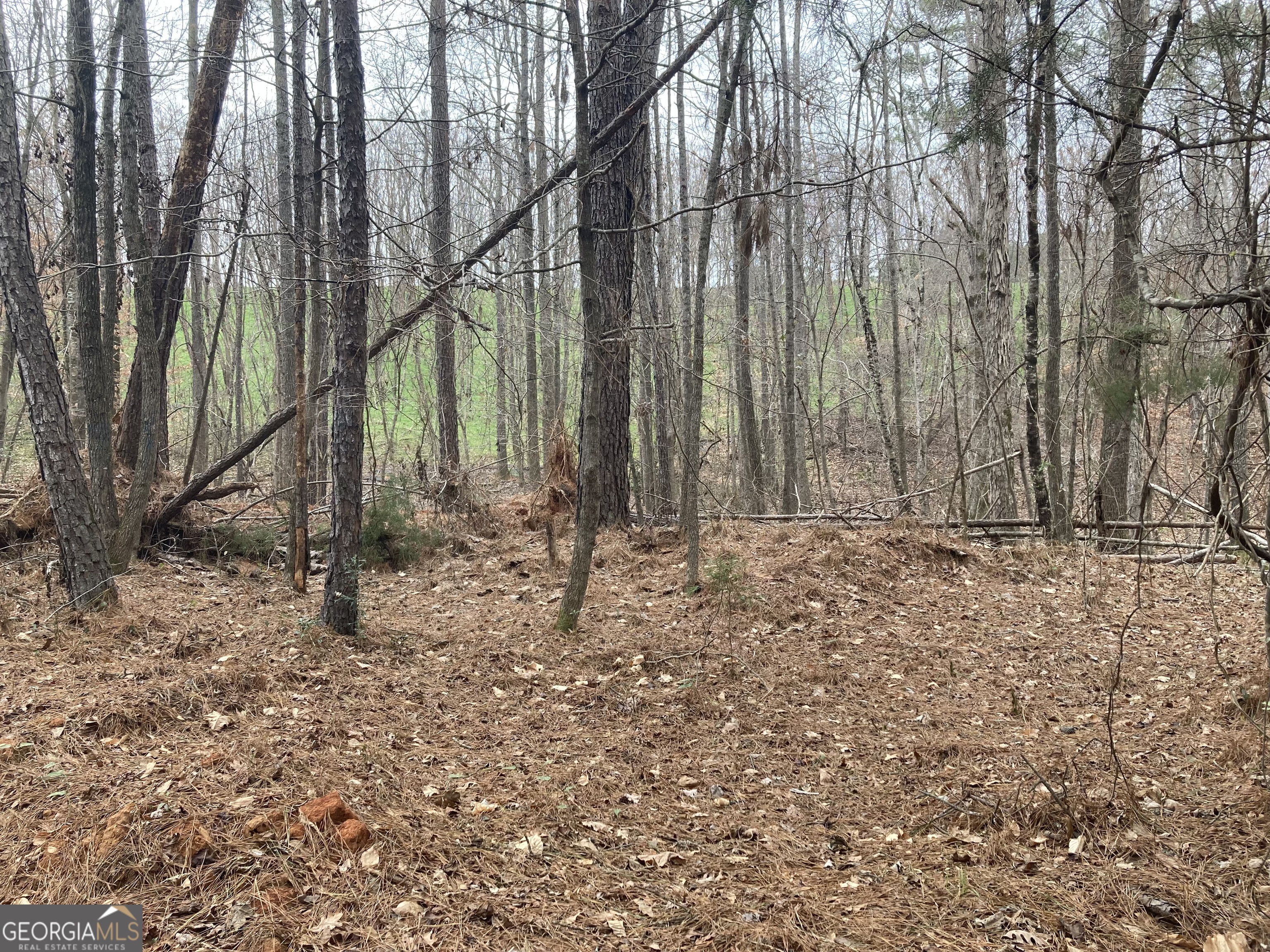 103 Acres Pobiddy Road Property Photo 19