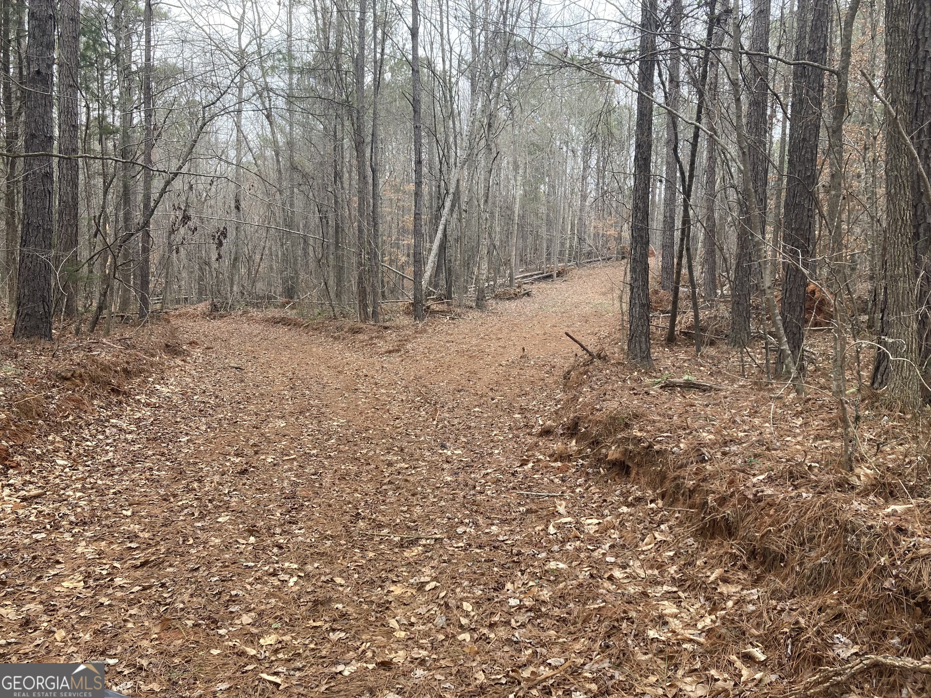 103 Acres Pobiddy Road Property Photo 20