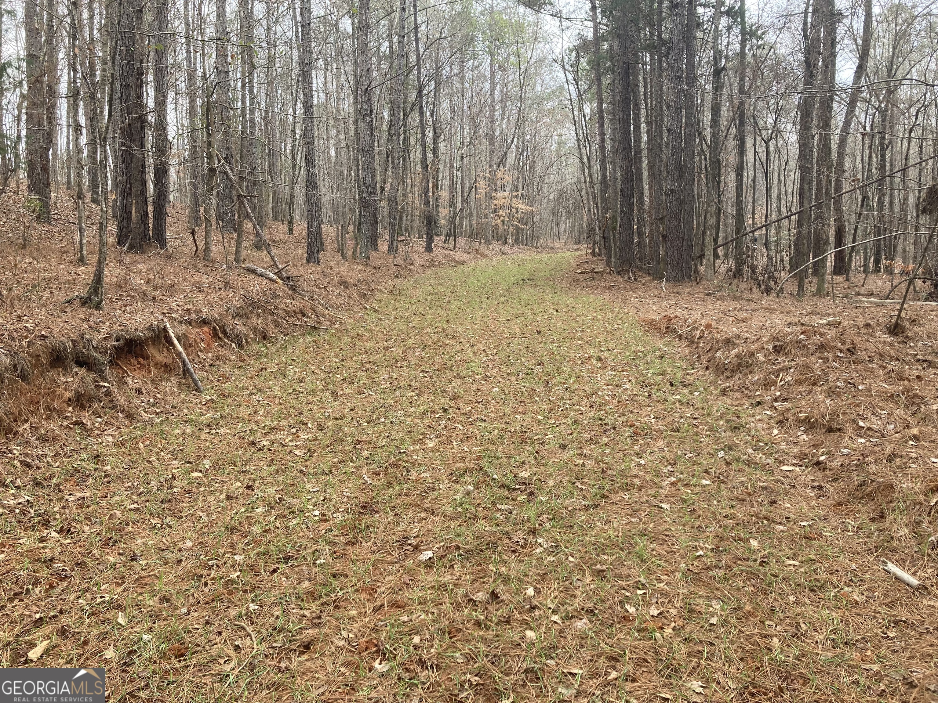103 Acres Pobiddy Road Property Photo 21