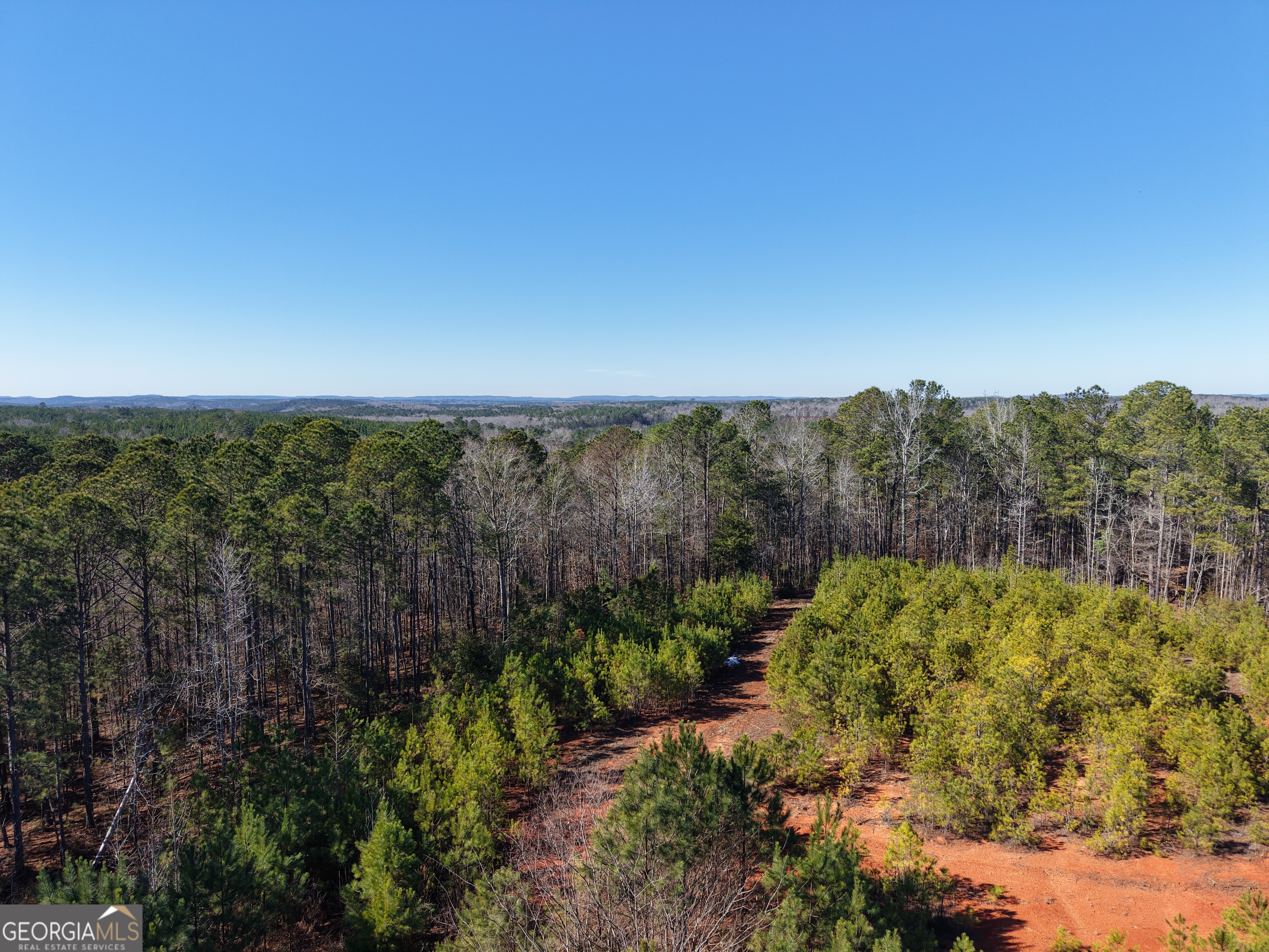 40 Acres Pobiddy Road Property Photo 7