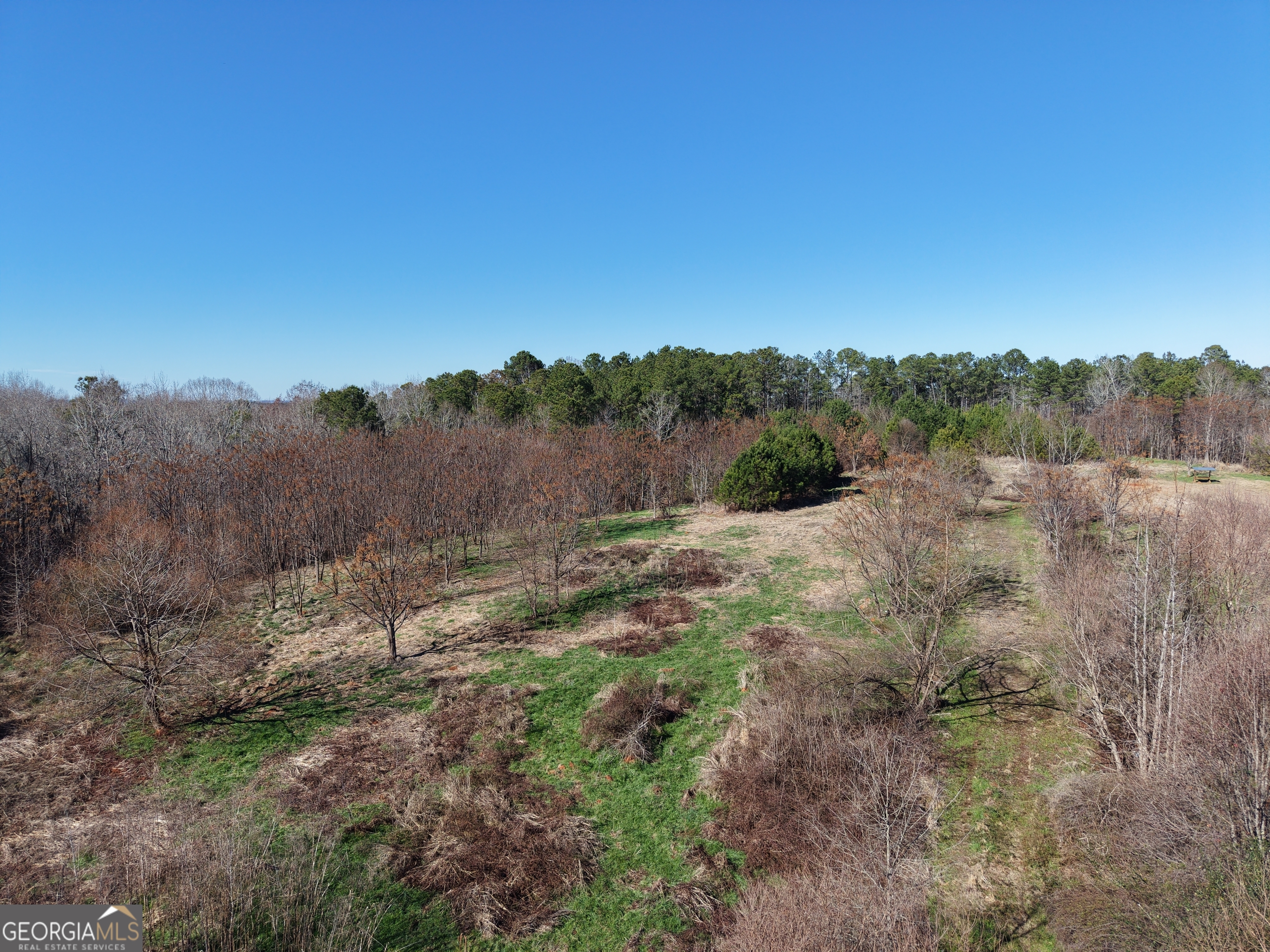 40 Acres Pobiddy Road Property Photo 9