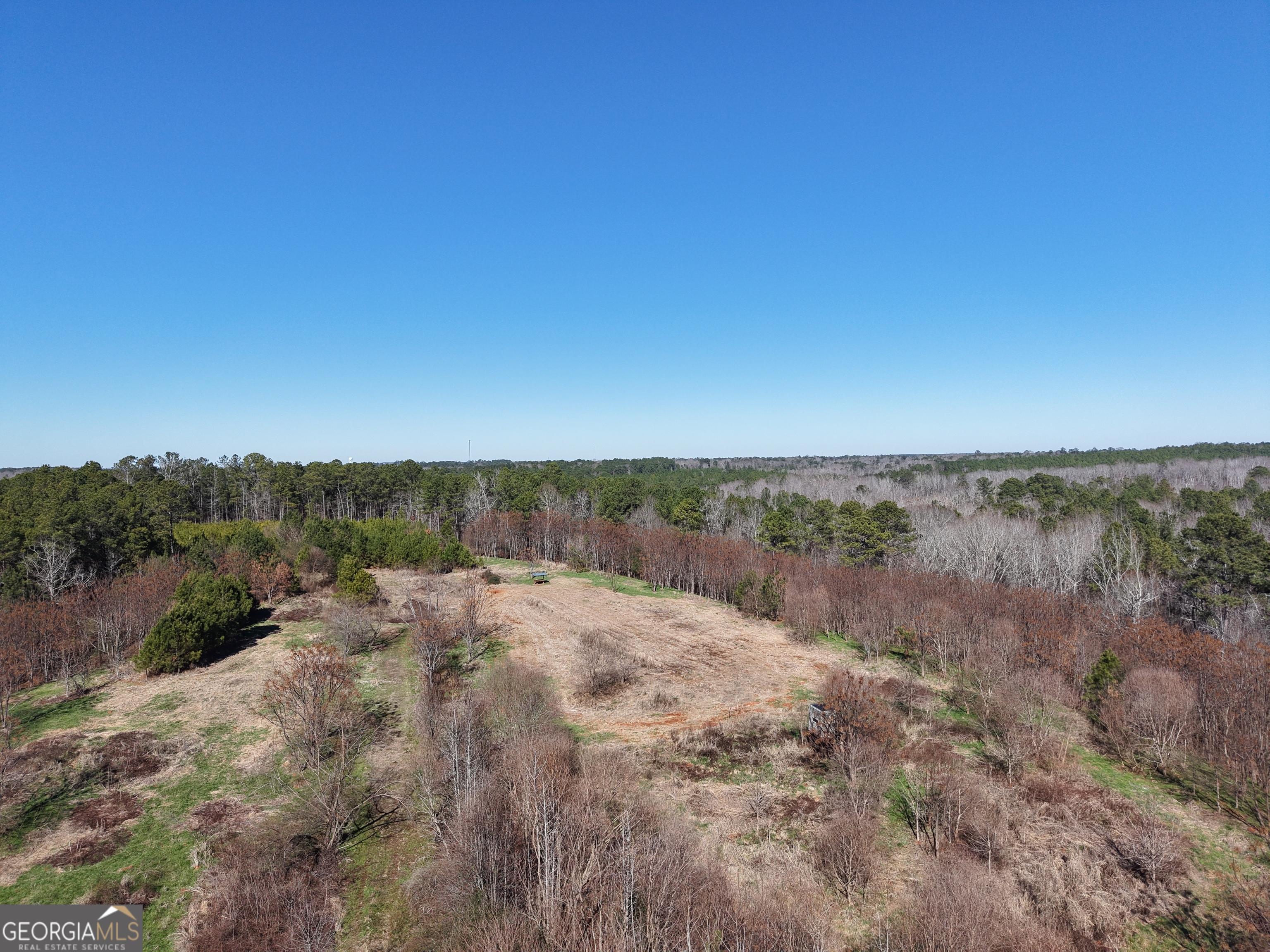 40 Acres Pobiddy Road Property Photo 10
