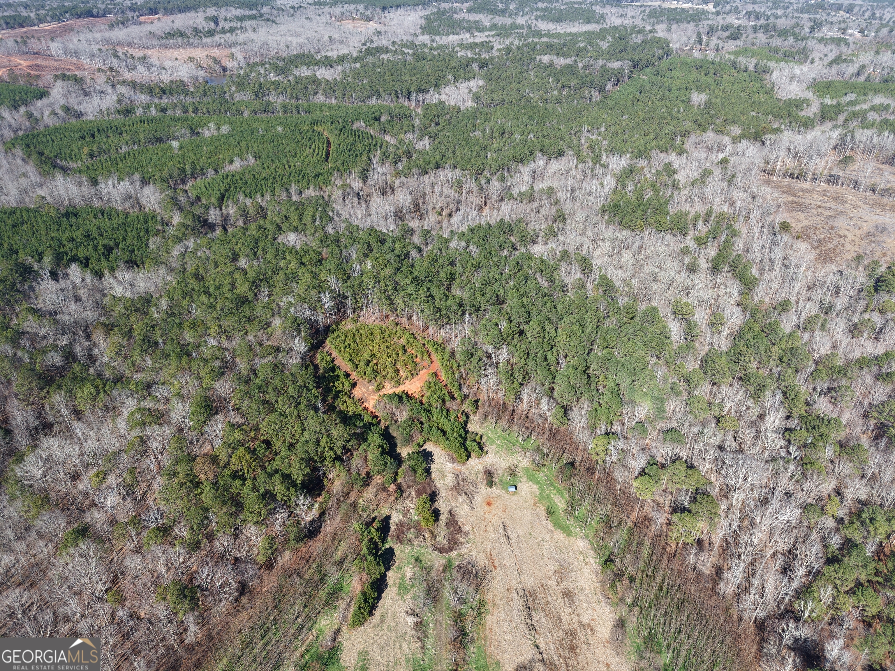40 Acres Pobiddy Road Property Photo 13