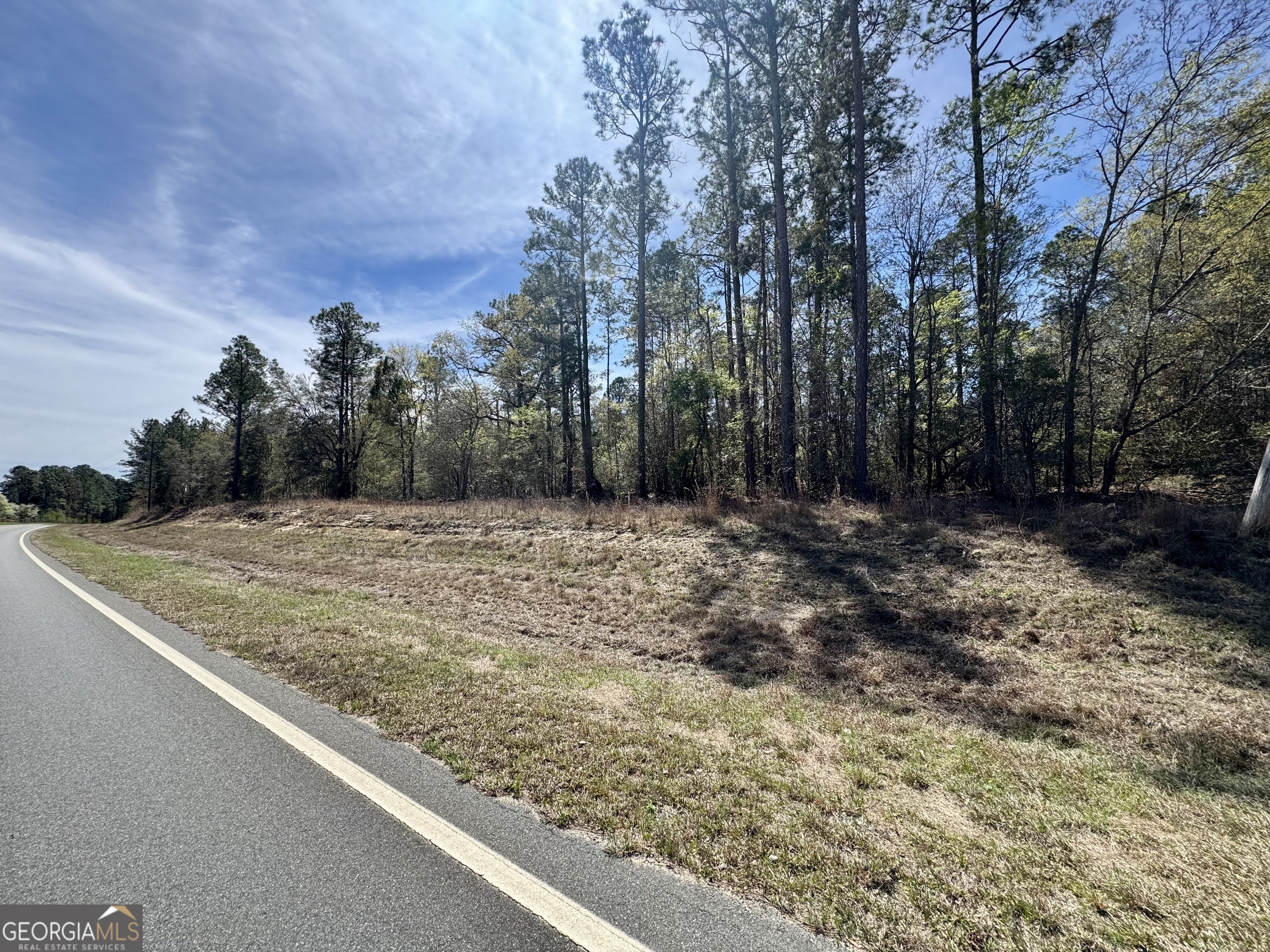0 East Ga Hwy 86 Property Photo 1