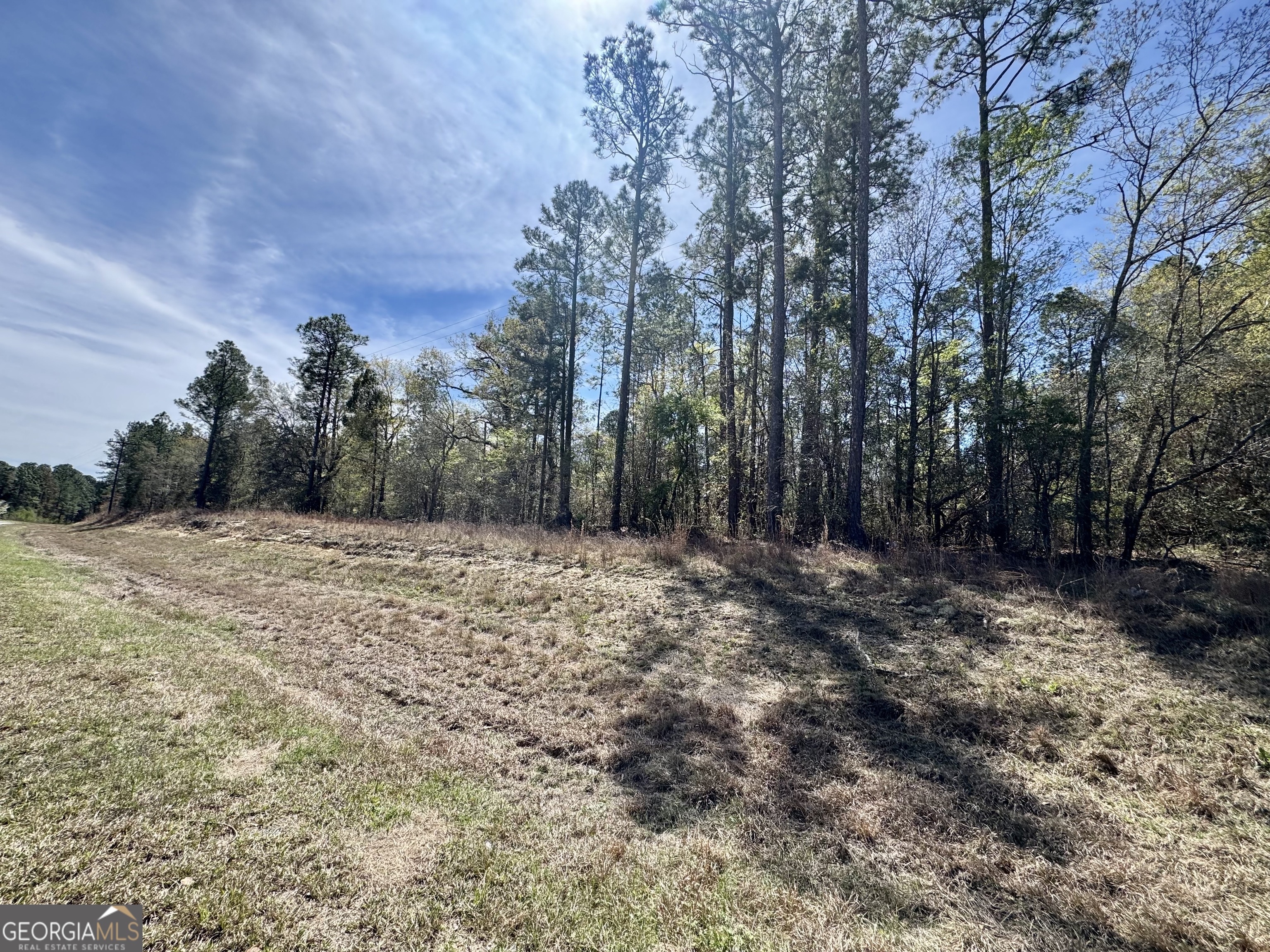 0 East Ga Hwy 86 Property Photo 2