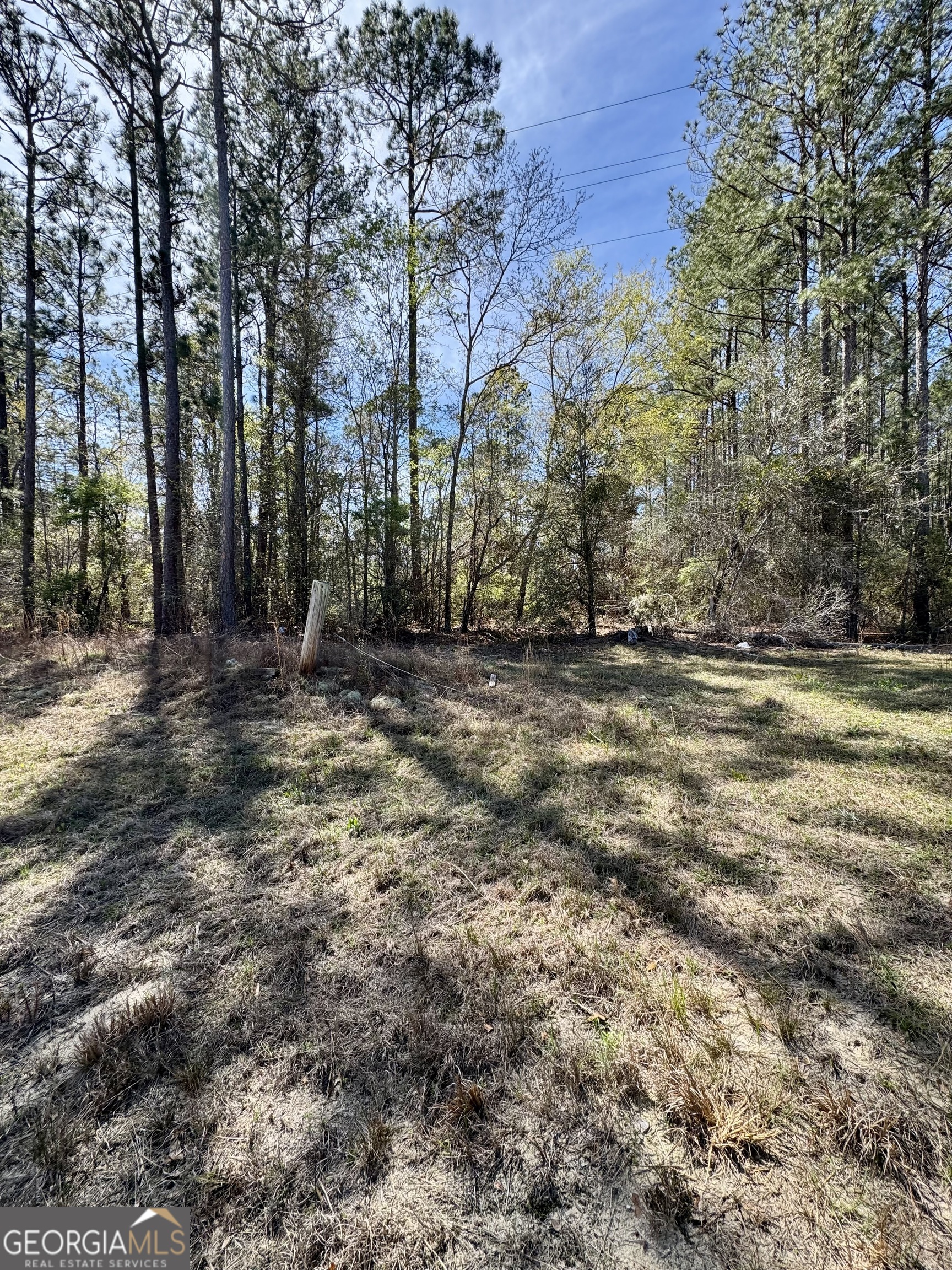 0 East Ga Hwy 86 Property Photo 3