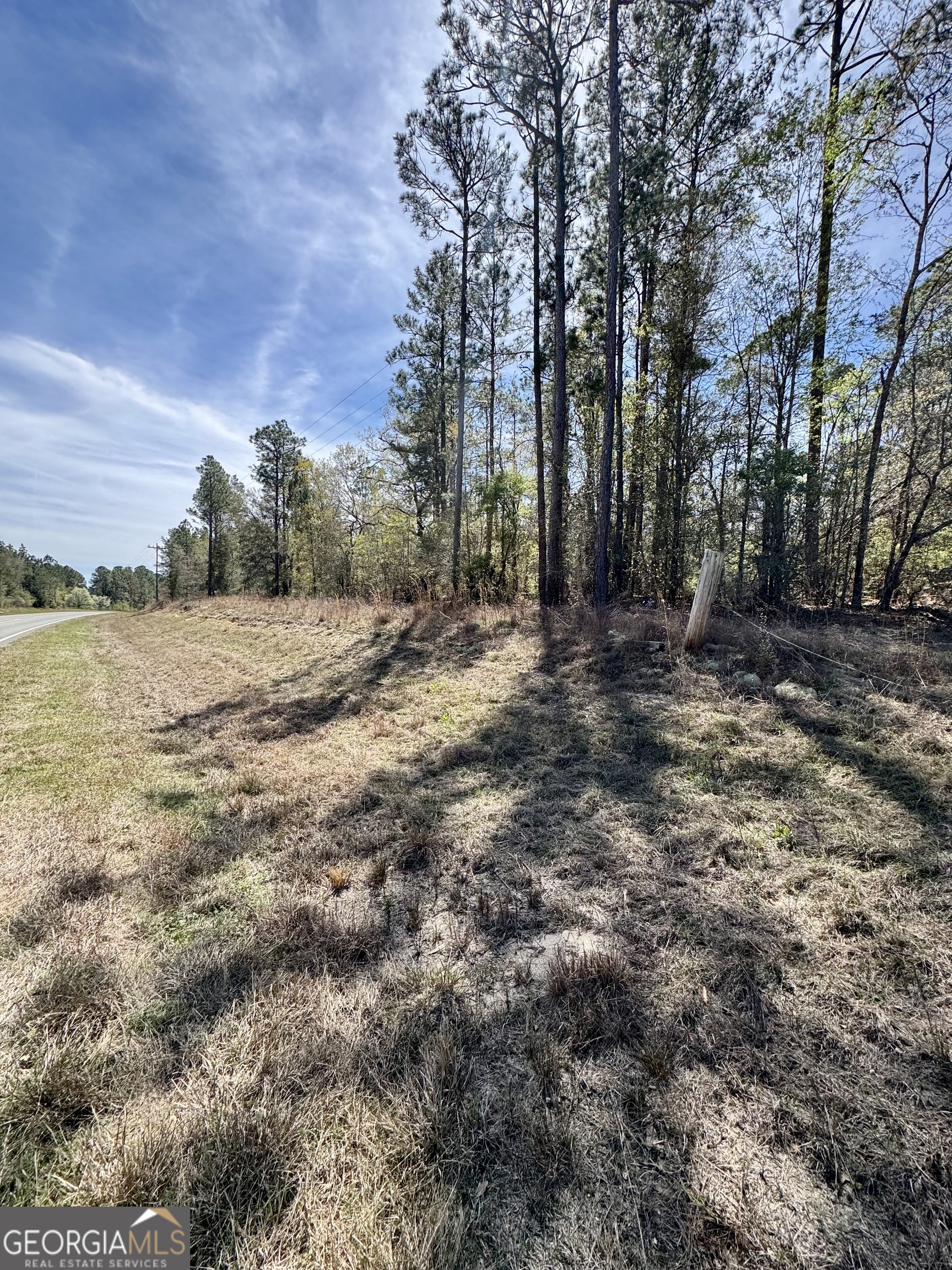 0 East Ga Hwy 86 Property Photo 4