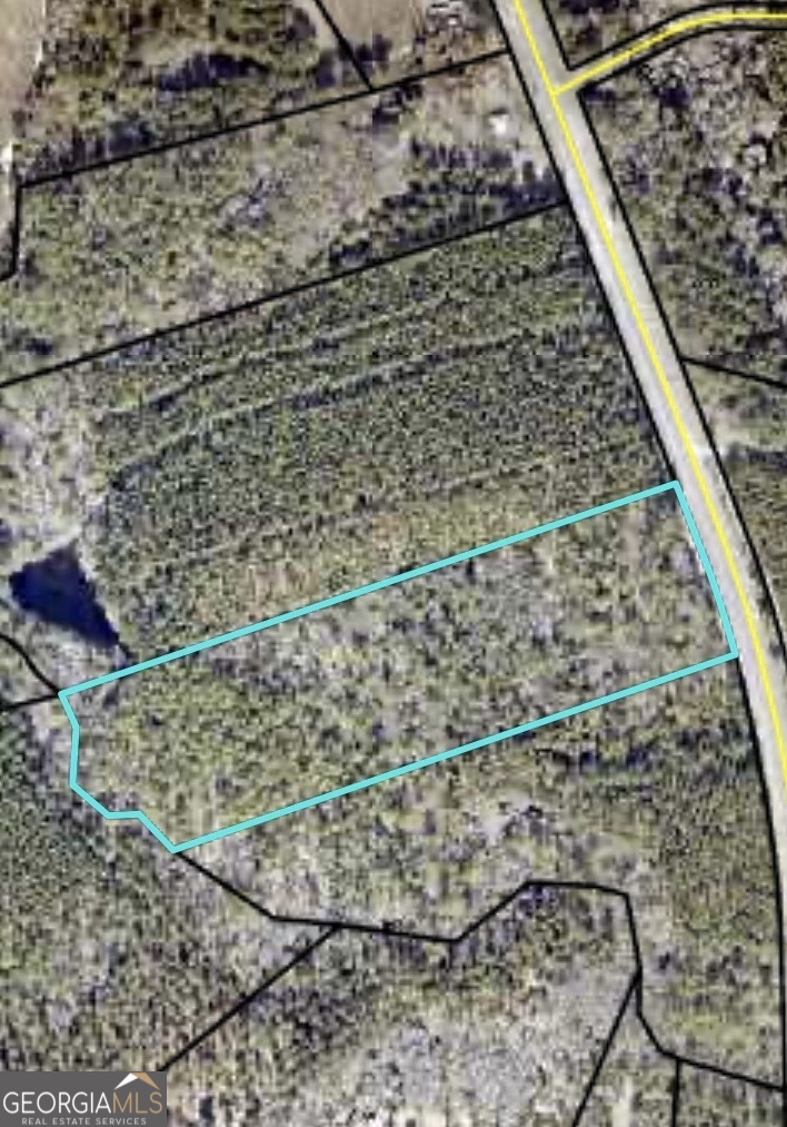 0 East Ga Hwy 86 Property Photo 5