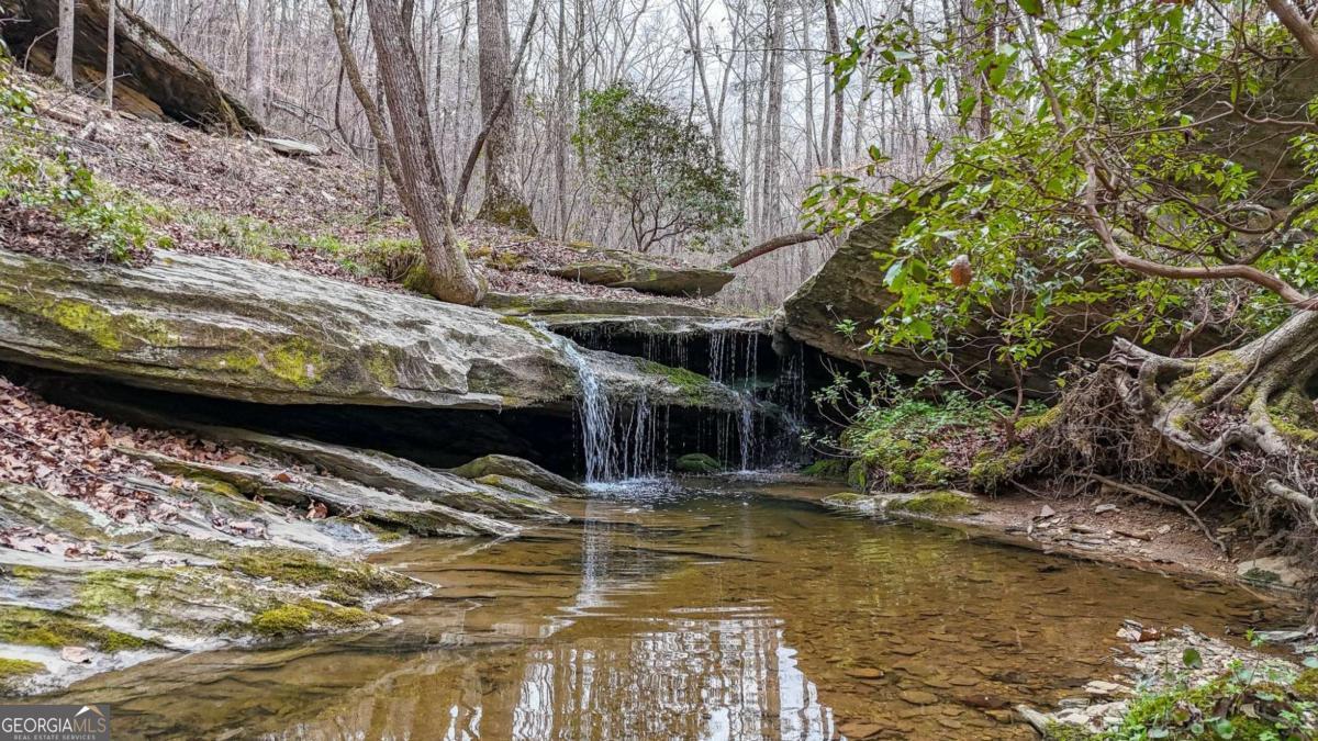 0 Felton Rockmart Road Property Photo 1