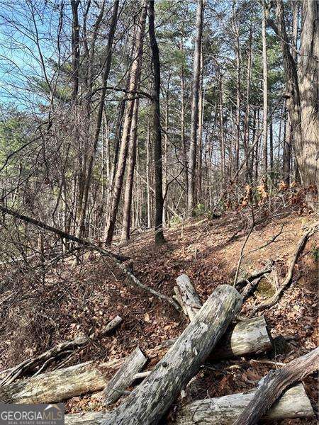 0 Log Swamp Drive Property Photo 1