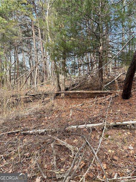 0 Log Swamp Drive Property Photo 2