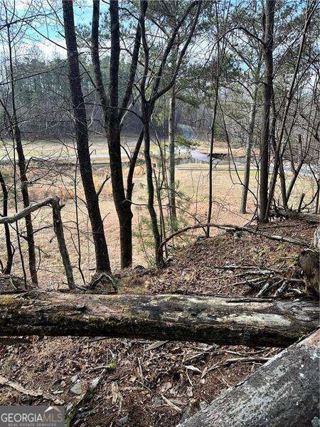0 Log Swamp Drive Property Photo 3