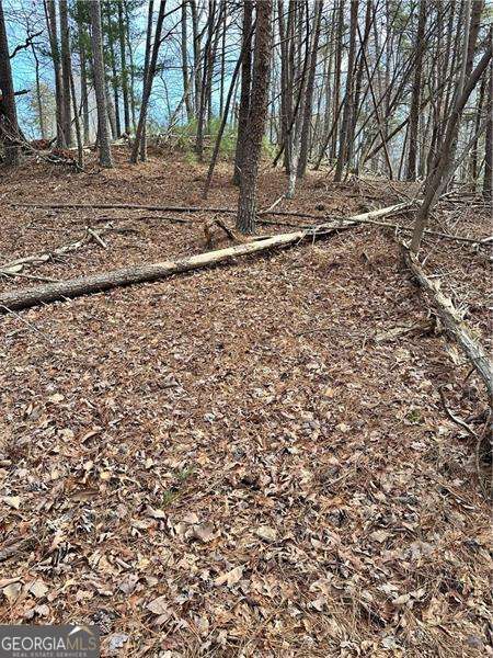0 Log Swamp Drive Property Photo 4
