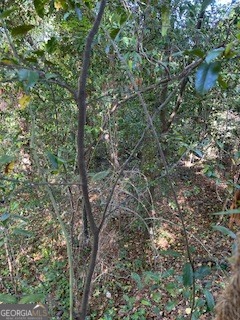 3746 Overlook Drive Property Photo 2