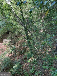3746 Overlook Drive Property Photo 3